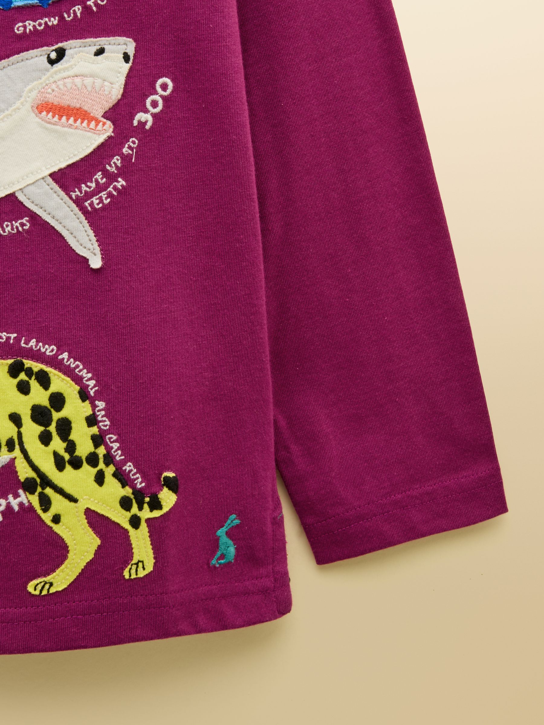 Boys' Finlay Purple Long Sleeve Applique Graphic T-Shirt - Image 4 of 4 Boys' Finlay Purple Long Sleeve Applique Graphic T-Shirt - Image 4 of 4