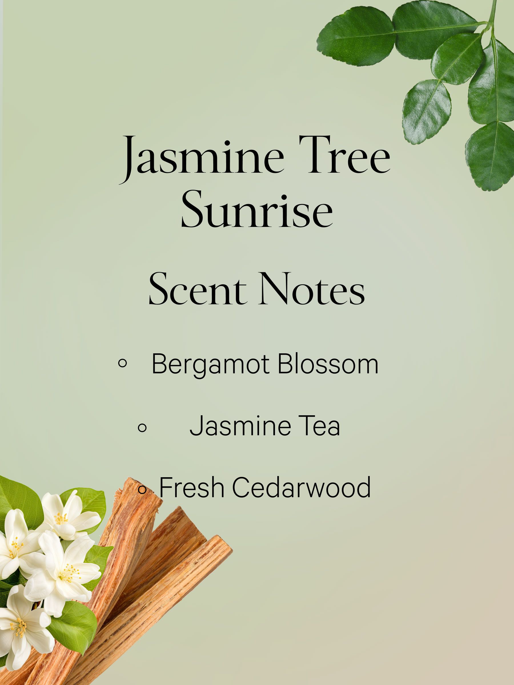 Jasmine Tea Sunrise Body Lotion 250ml - Image 2 of 2