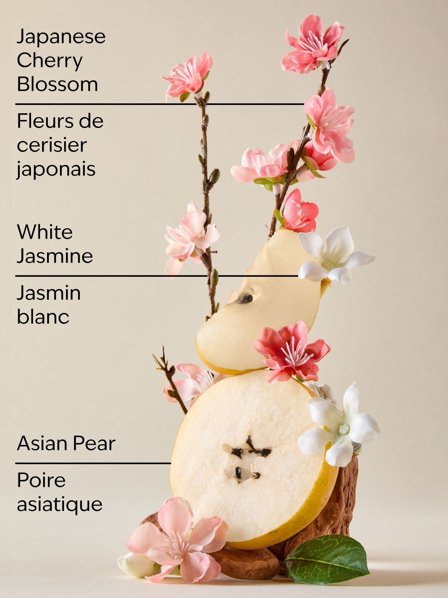 Japanese Cherry Blossom Gentle & Clean Foaming Hand Soap 259ml - Image 2 of 2