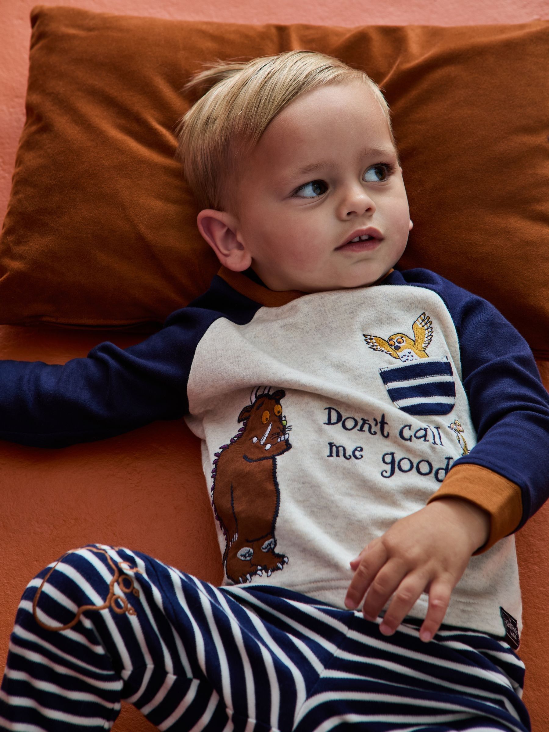 The Gruffalo Character Appliqué Jersey Pyjamas - Image 2 of 13