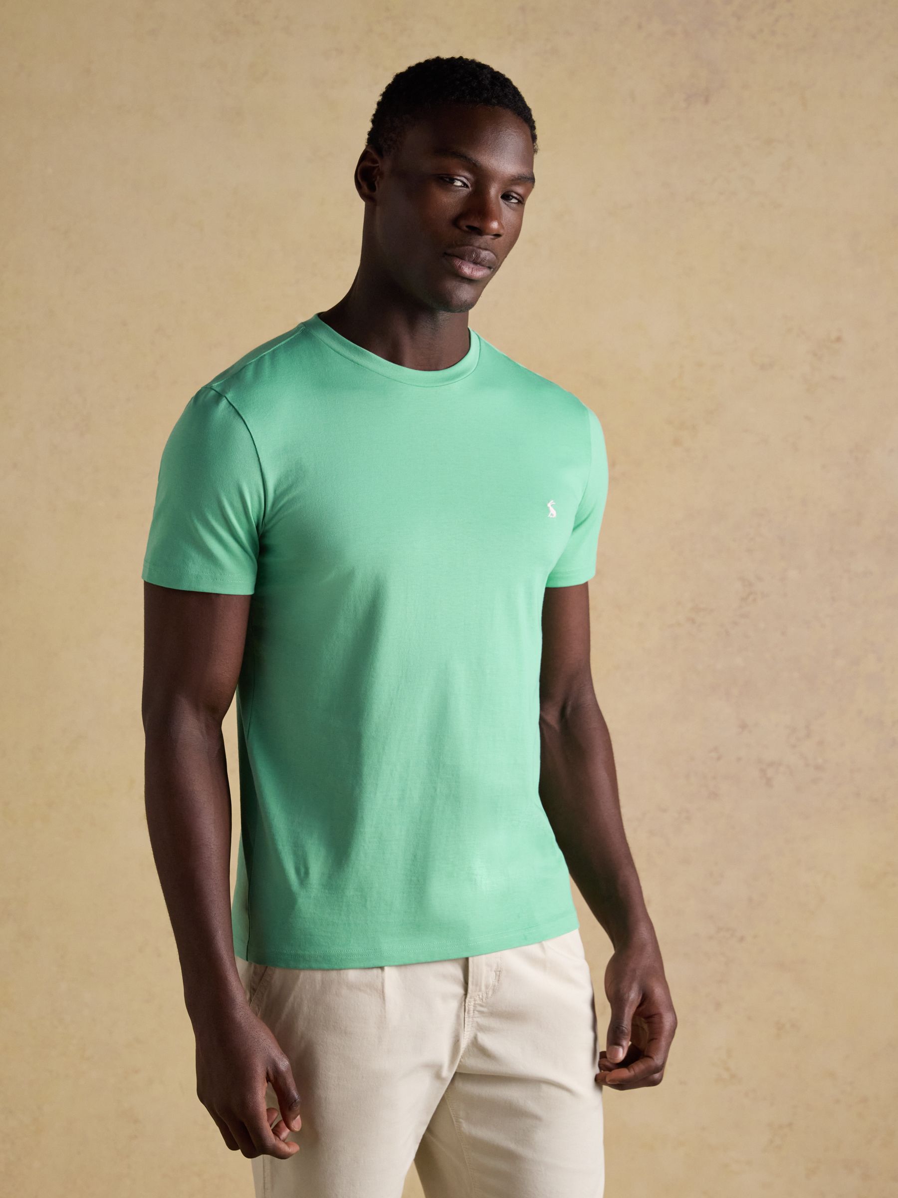 Everyday Light Green Classic Fit Cotton T-Shirt - Image 1 of 6