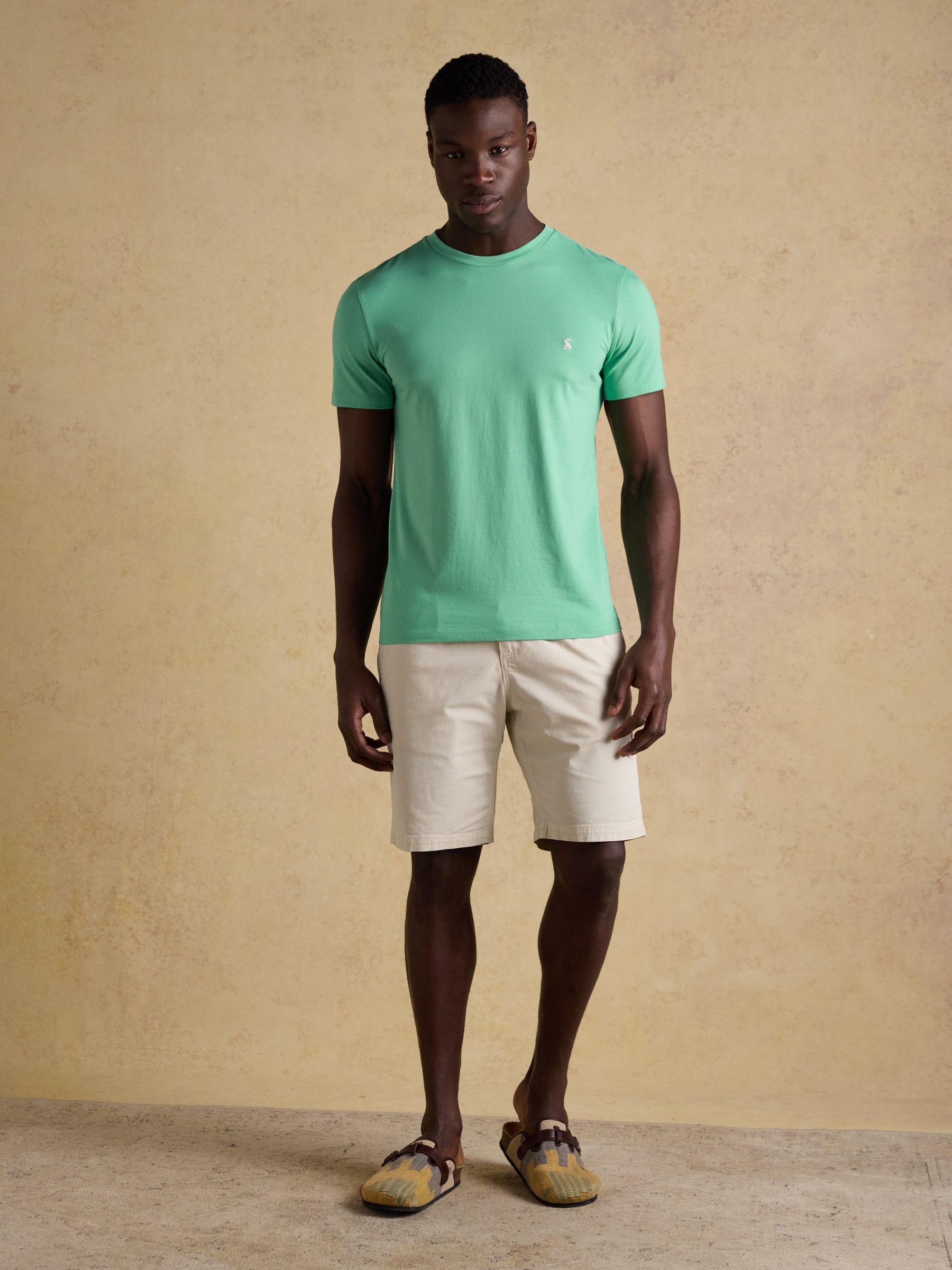 Everyday Light Green Classic Fit Cotton T-Shirt - Image 5 of 6
