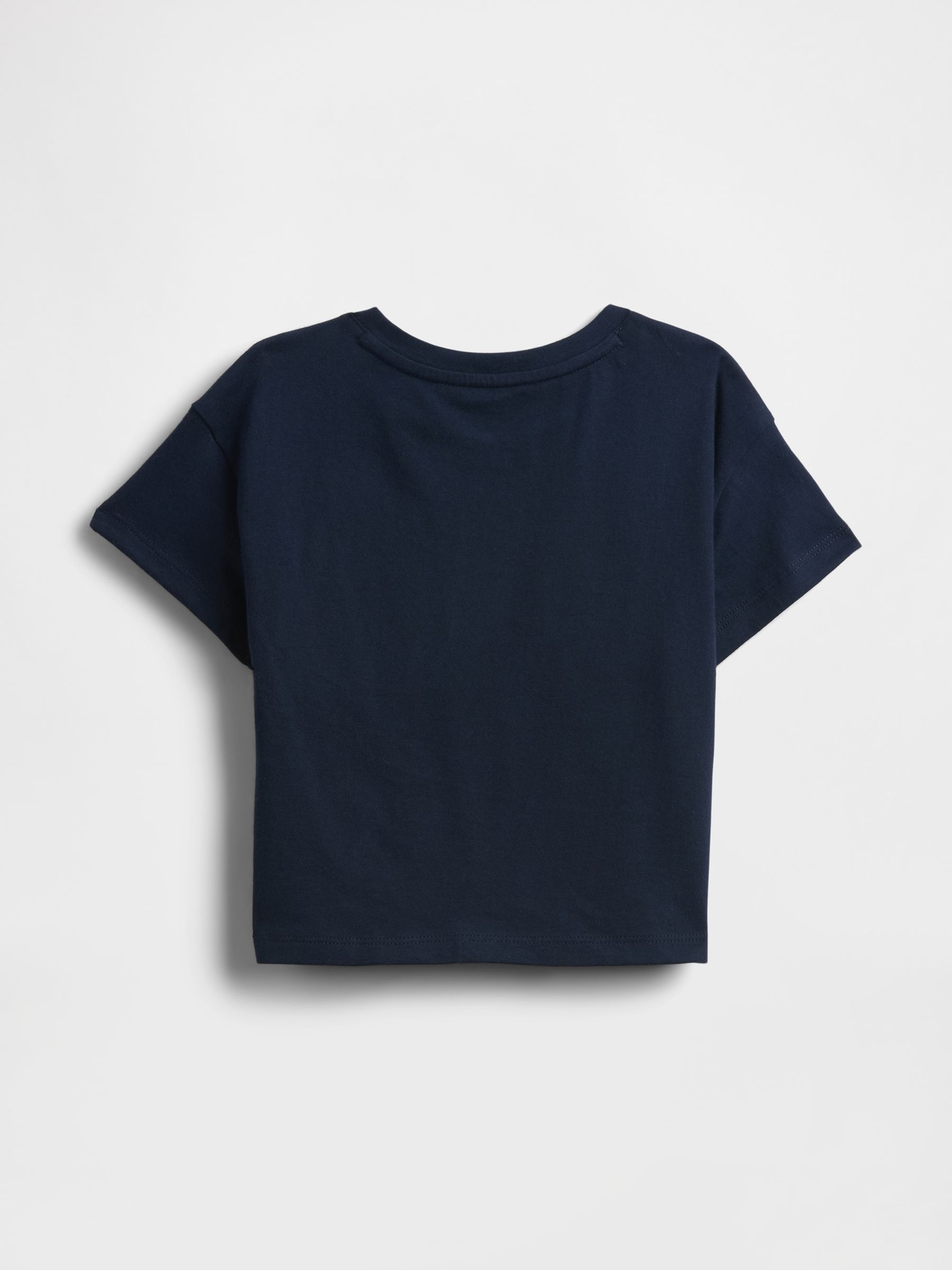 Navy Blue Flamingo Relaxed Graphic Short Sleeve T-Shirt (6mths-5yrs) - Image 2 of 2