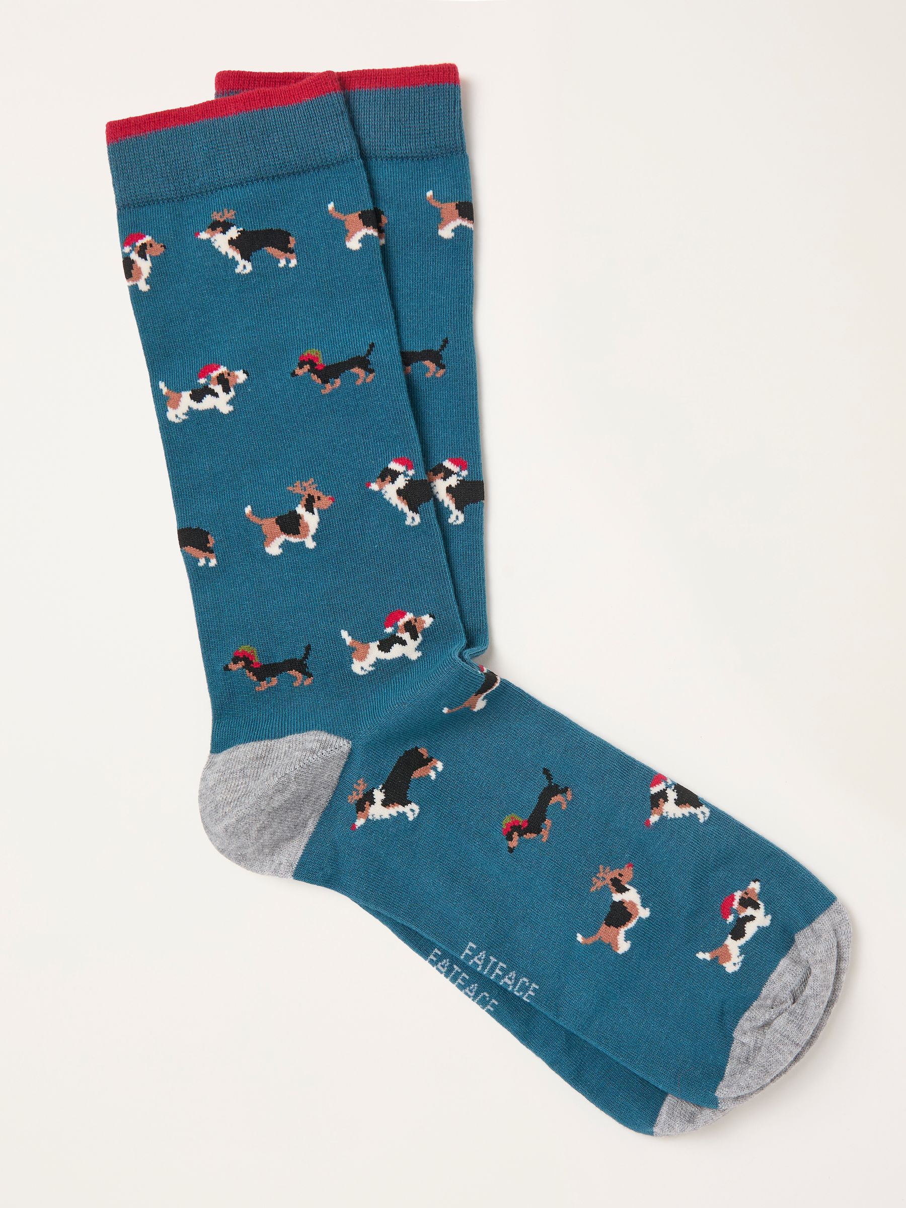 Teal Blue Dog Socks - Image 1 of 2
