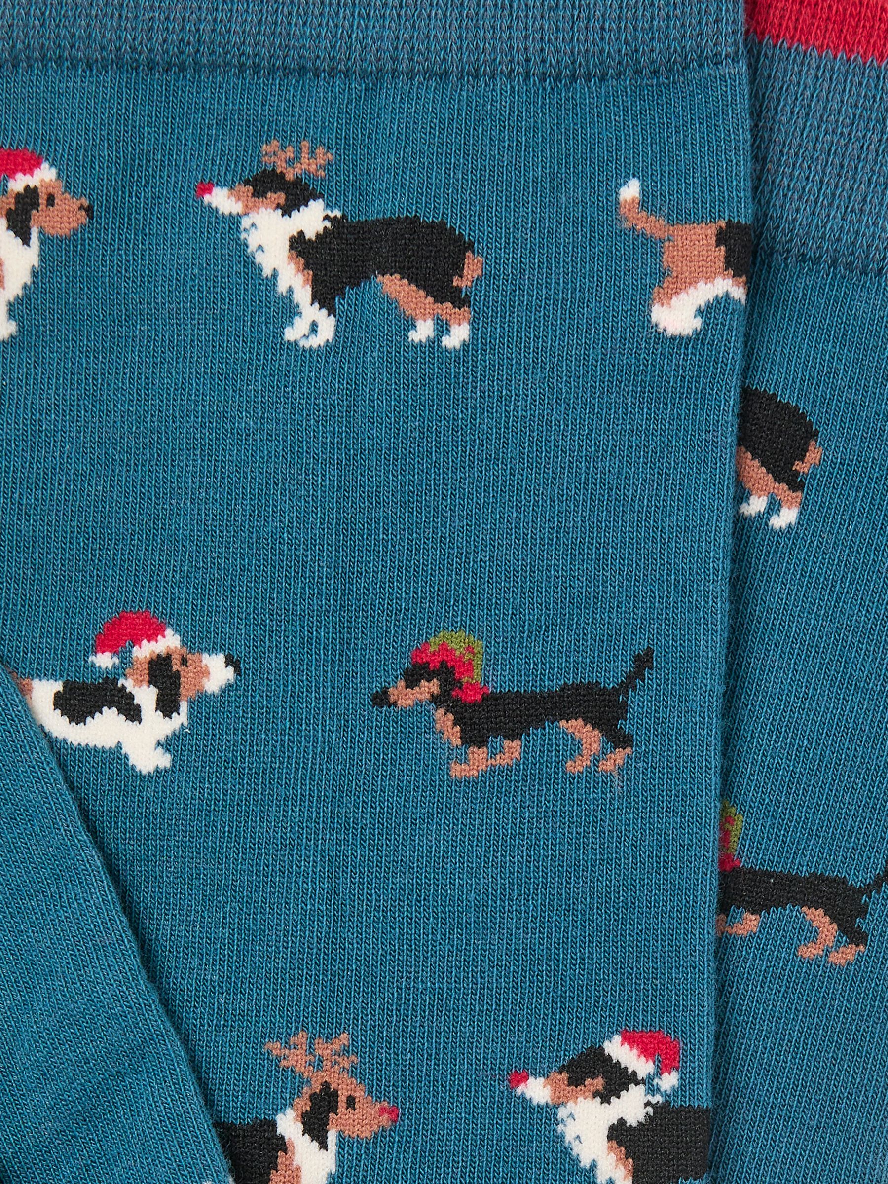 Teal Blue Dog Socks - Image 2 of 2