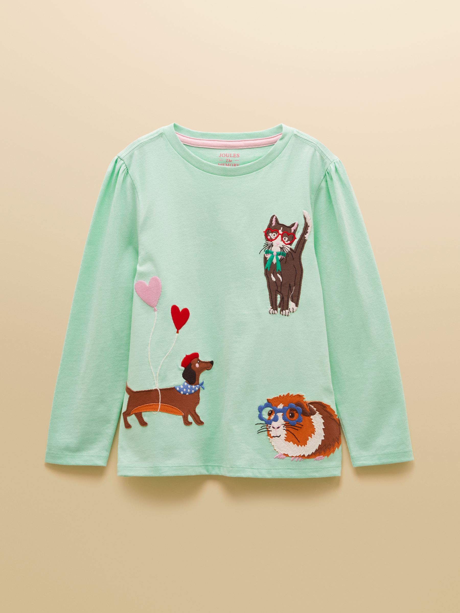 Girls' Ava Mint Green Applique Long Sleeve Top - Image 1 of 4