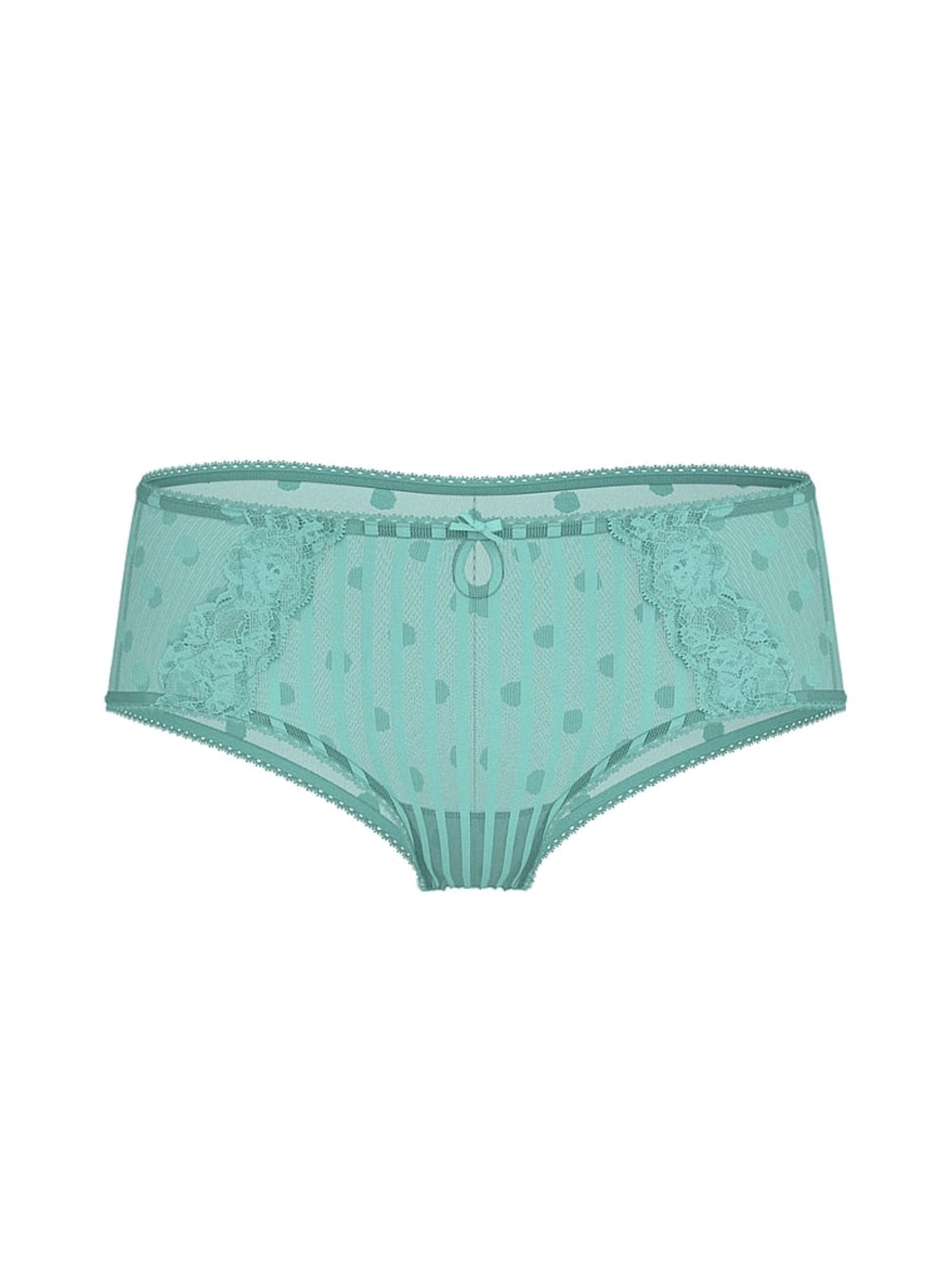 Dusty Turquoise Blue Cheeky Sheer Knickers - Image 3 of 3