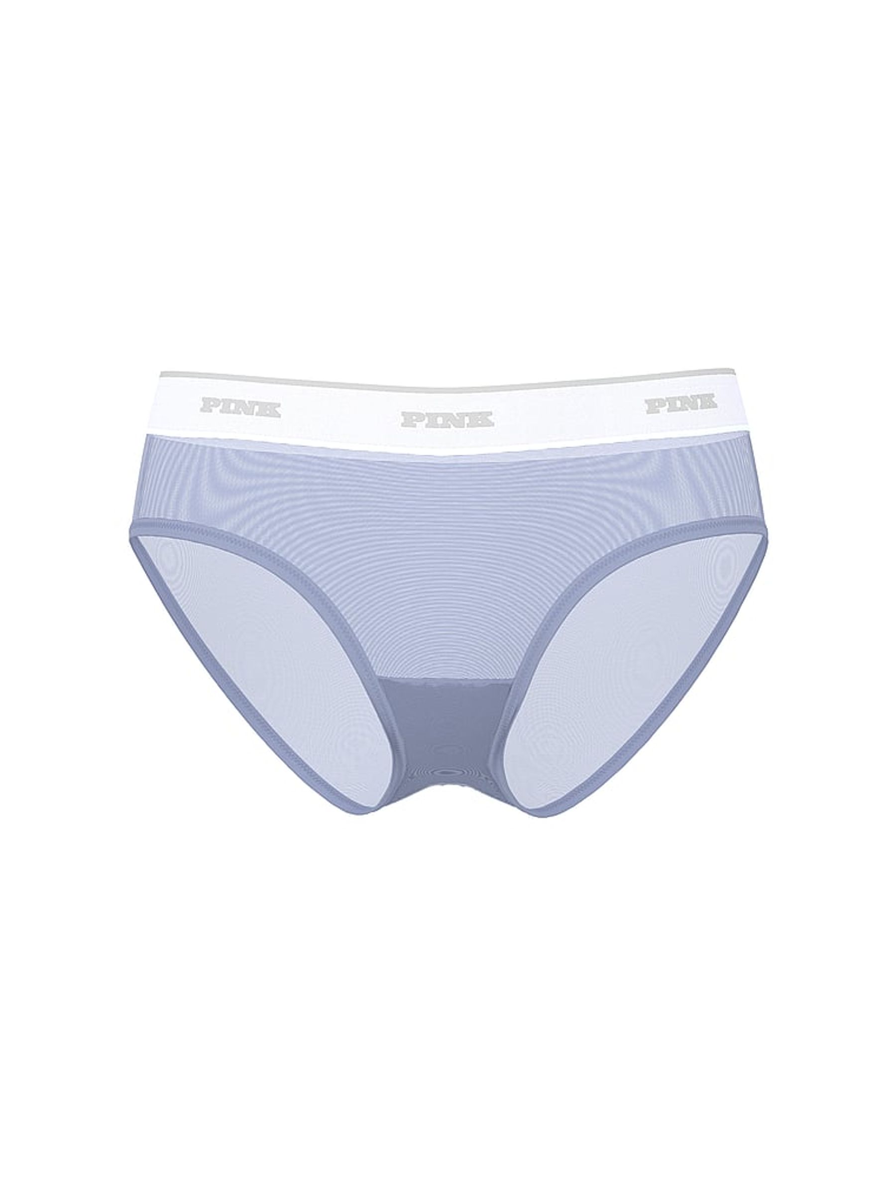Dusty Iris Blue Hipster Logo Mesh Knickers - Image 3 of 3