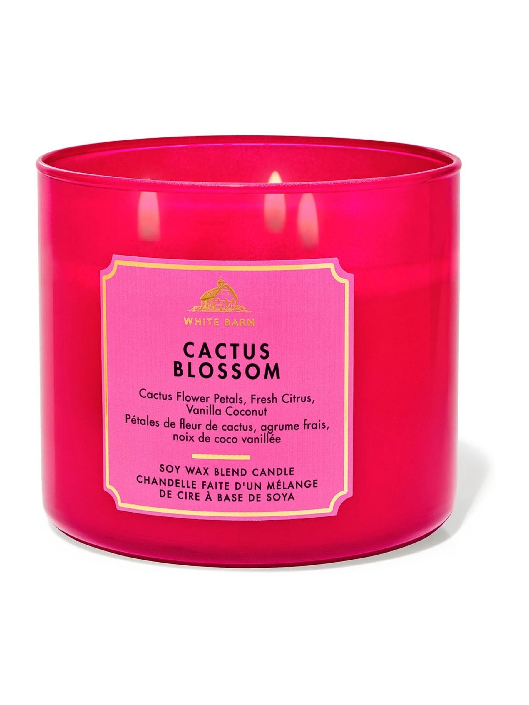 Cactus Blossom 3-Wick Candle 411g - Image 1 of 2 Cactus Blossom 3-Wick Candle 411g - Image 1 of 2