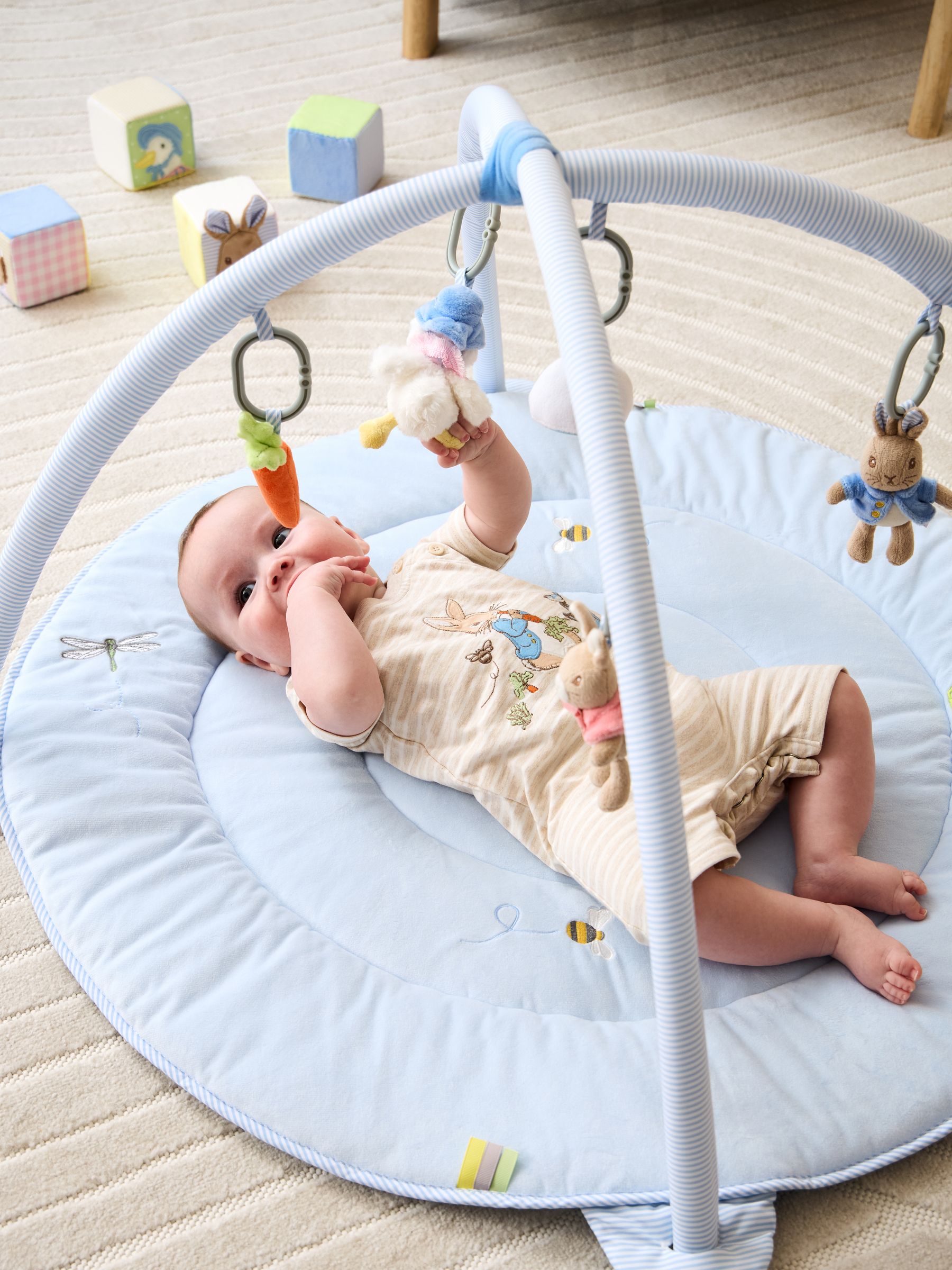 Peter Rabbit Activity Gym - Image 1 of 11