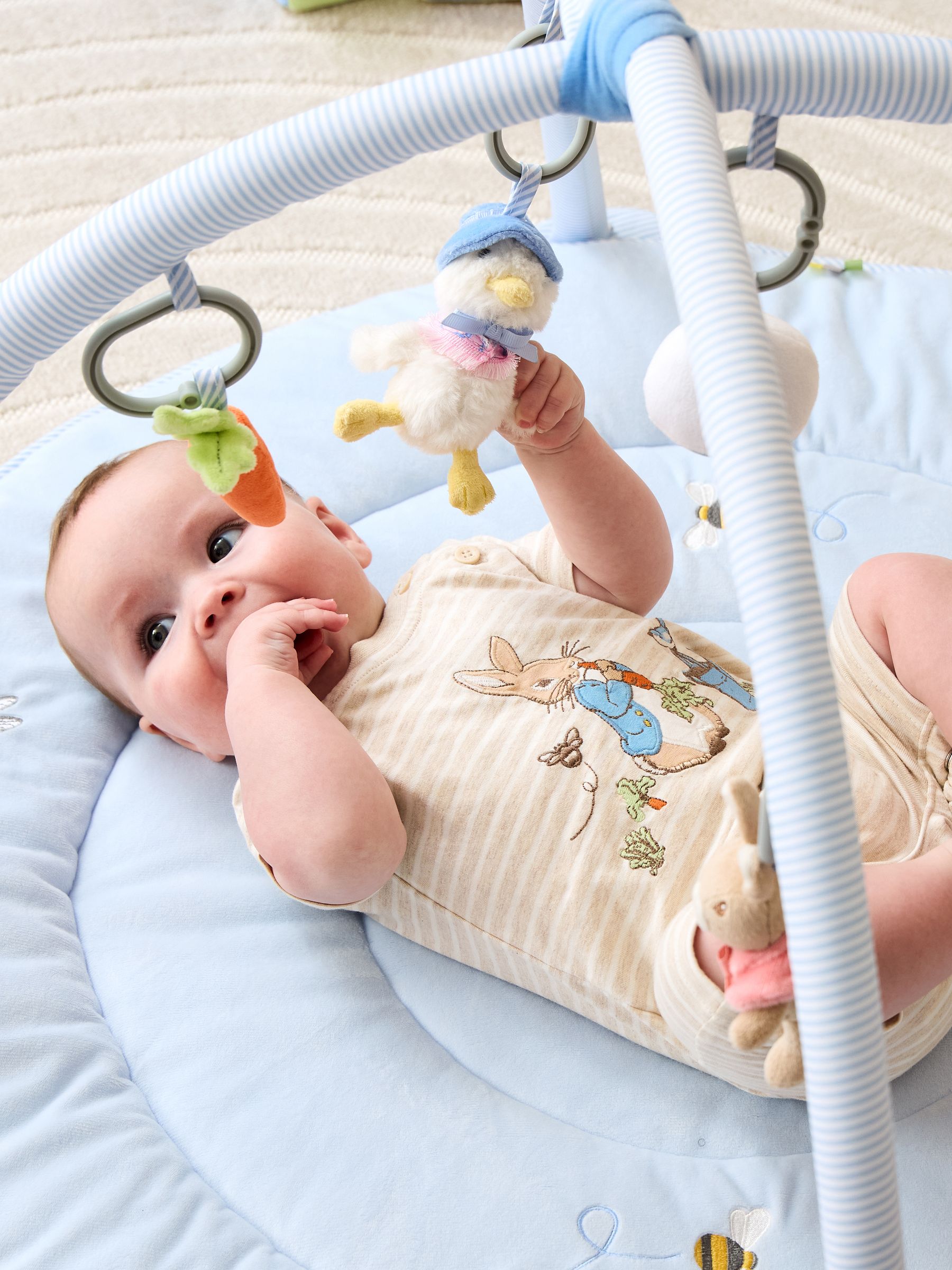 Peter Rabbit Activity Gym - Image 2 of 11