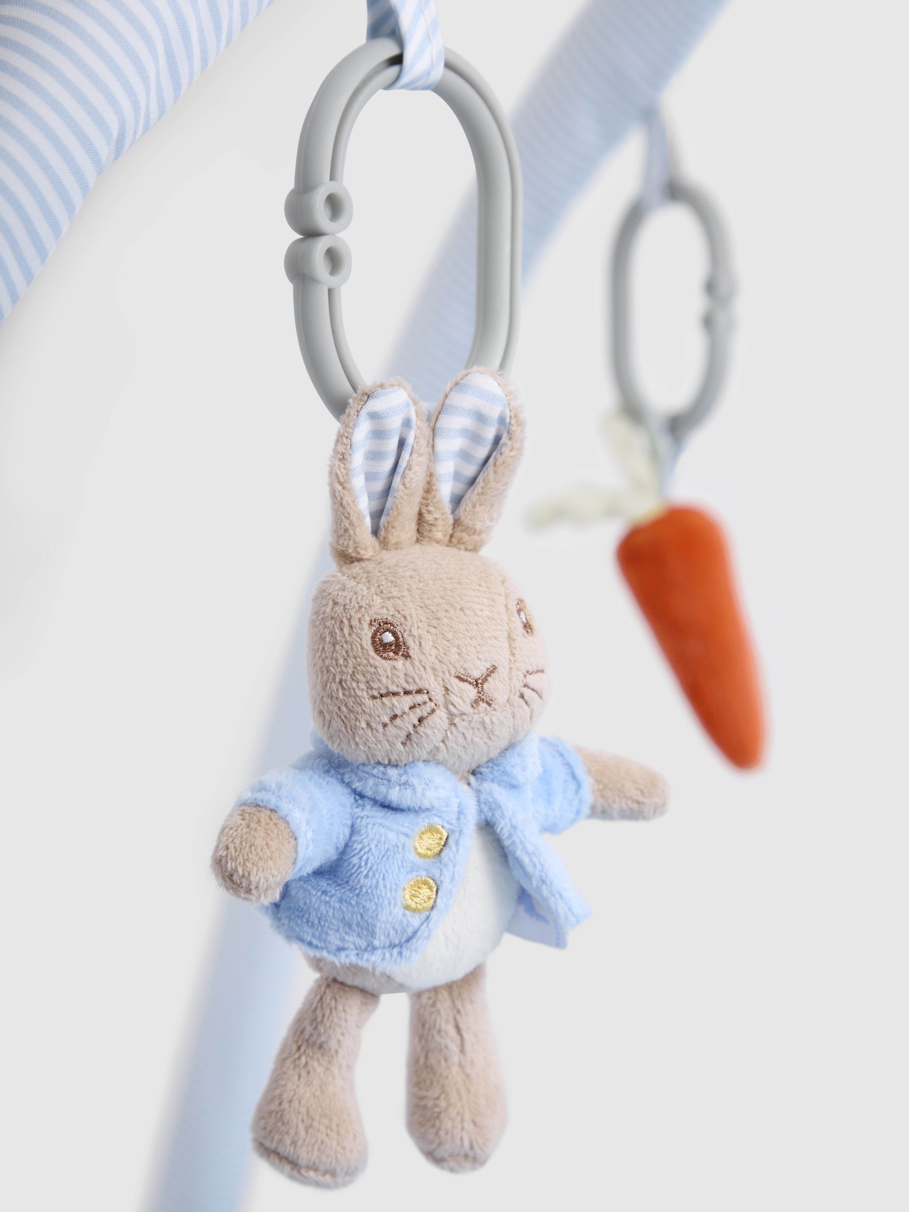 Peter Rabbit Activity Gym - Image 6 of 11