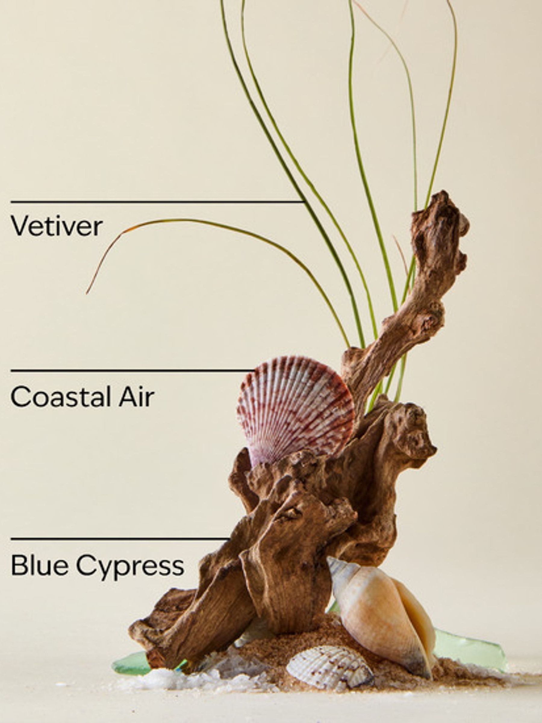 Ocean 3-in-1 Hair, Face & Body Wash - Image 2 of 2