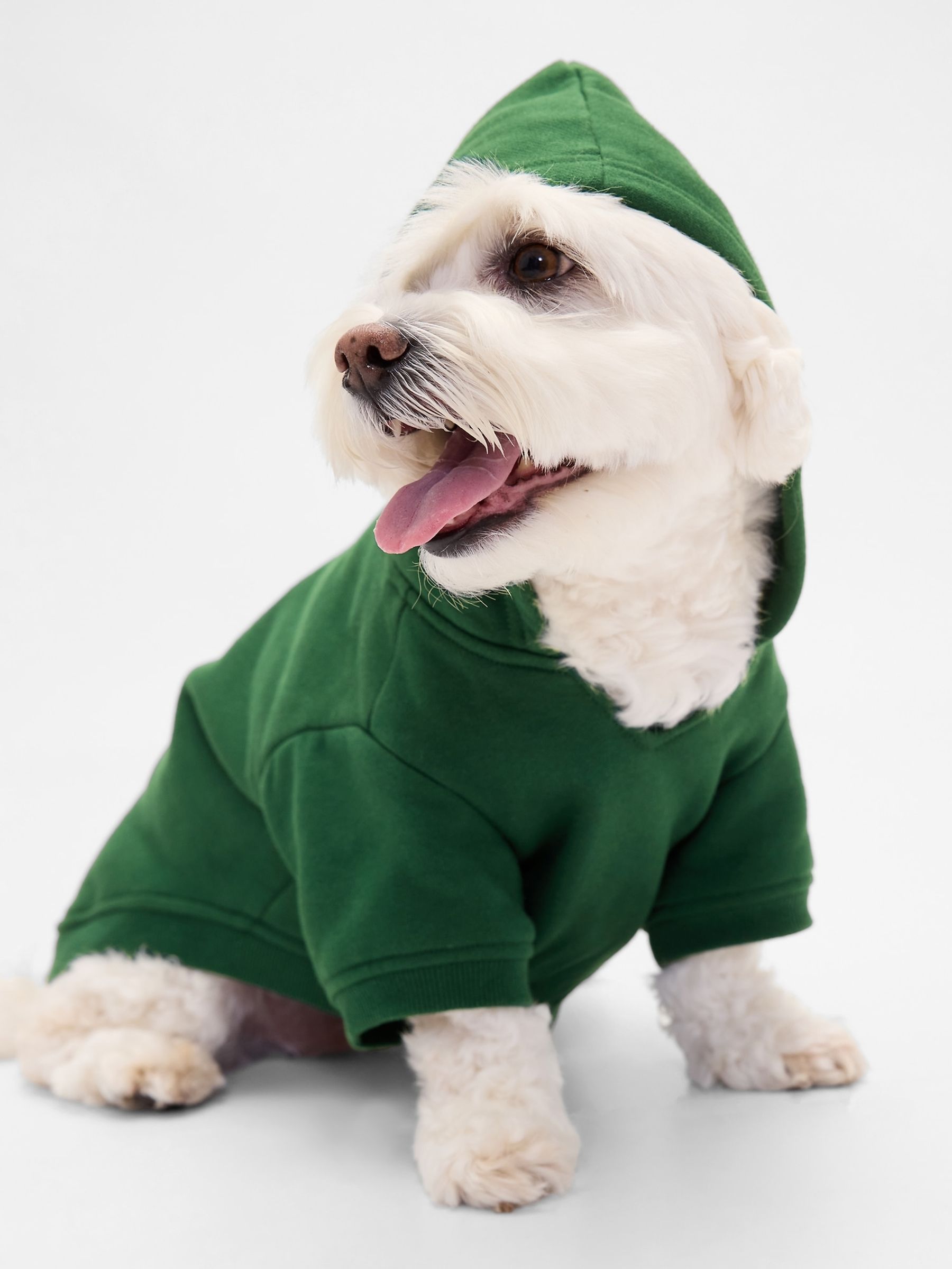 Green Logo Pet Hoodie - Image 1 of 2