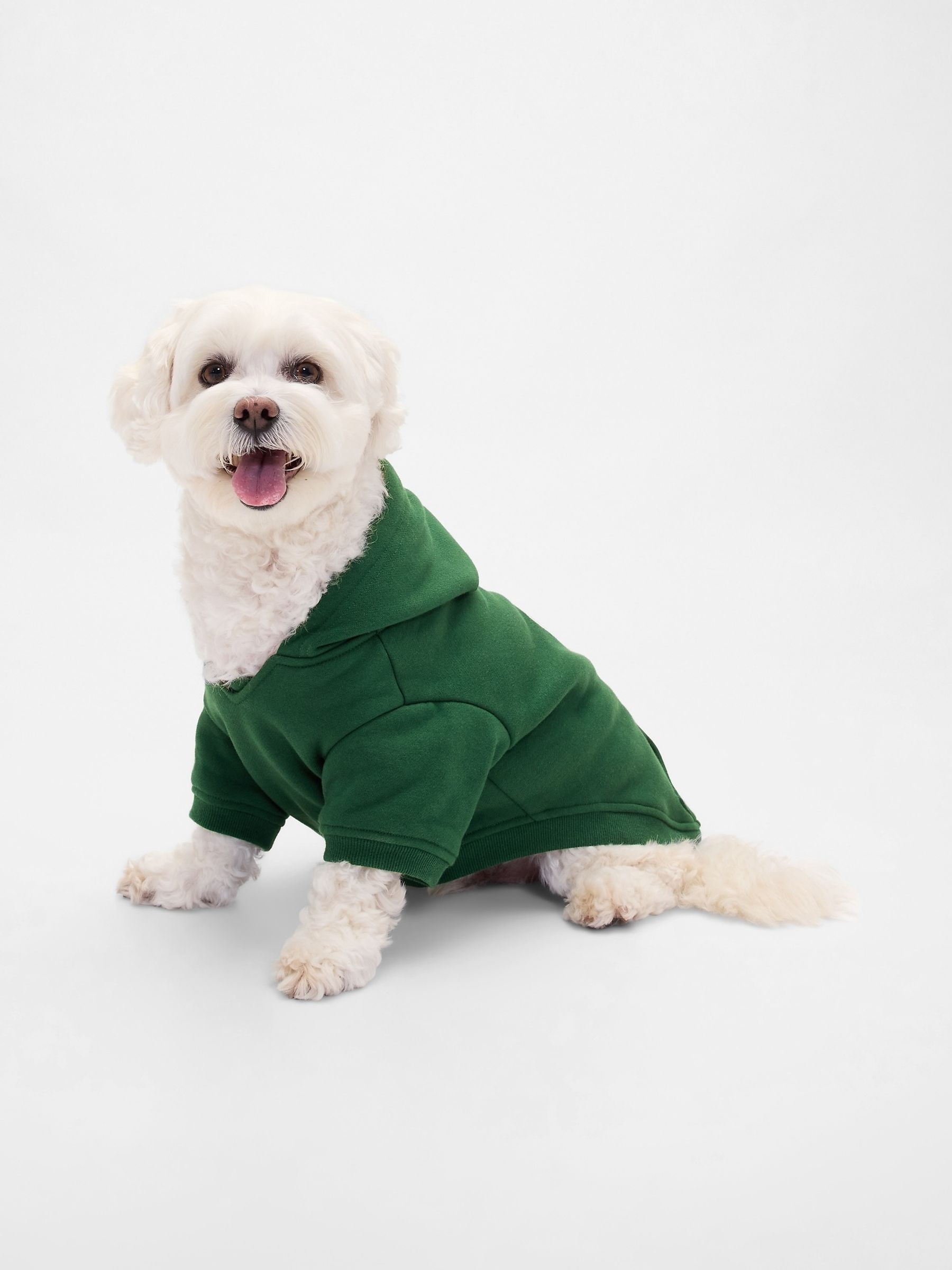 Green Logo Pet Hoodie - Image 2 of 2 Green Logo Pet Hoodie - Image 2 of 2