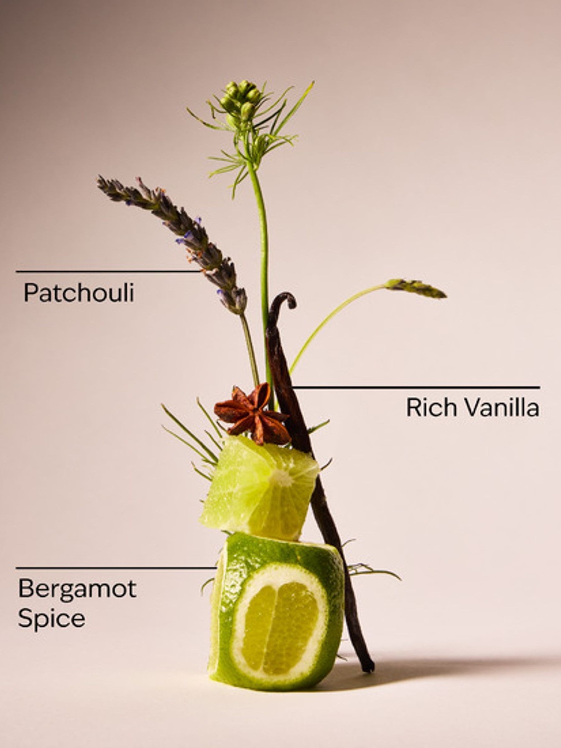 Vanilla Noir 3-in-1 Hair, Face & Body Wash - Image 2 of 2