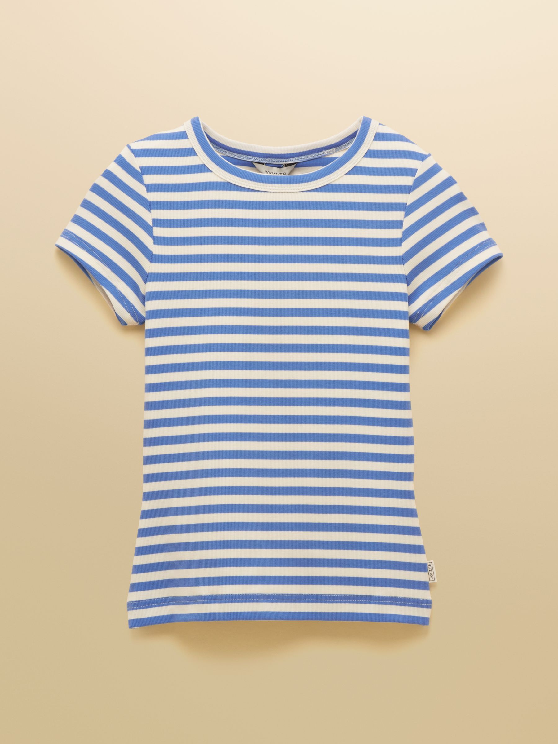 Sophie Blue Stripe Short Sleeve Ribbed Fitted T-Shirt - Image 7 of 7