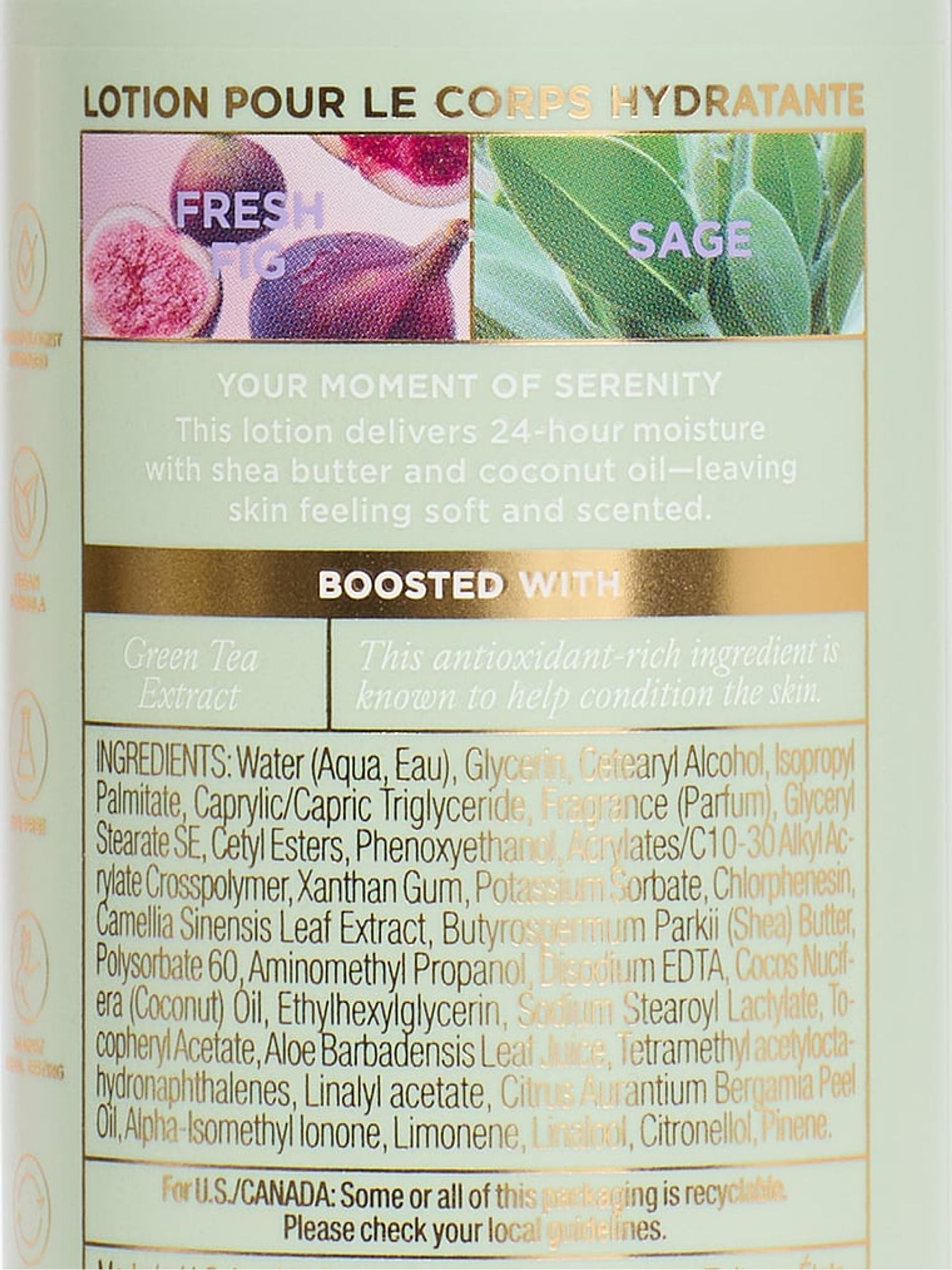 Fresh Fig Sage Body Lotion - Image 2 of 4