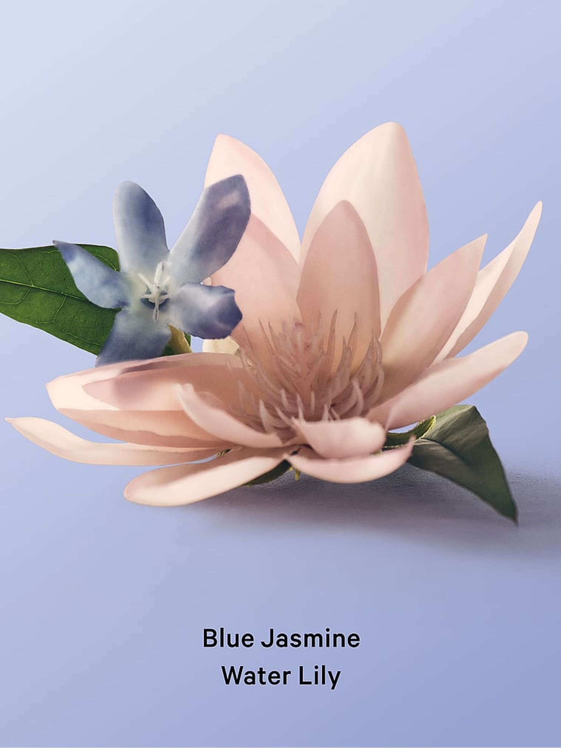 Blue Jasmine Water Lily Body Lotion - Image 3 of 4