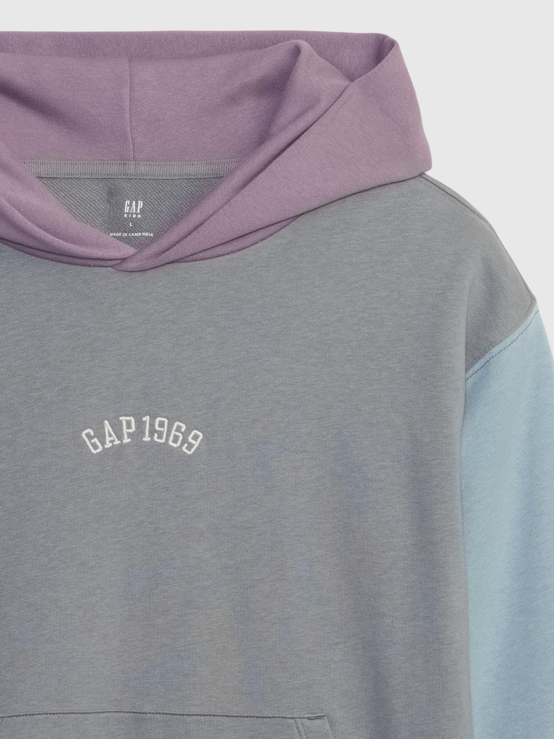 Grey 1969 Colourblock Arch Logo Hoodie (4-13yrs) - Image 3 of 3