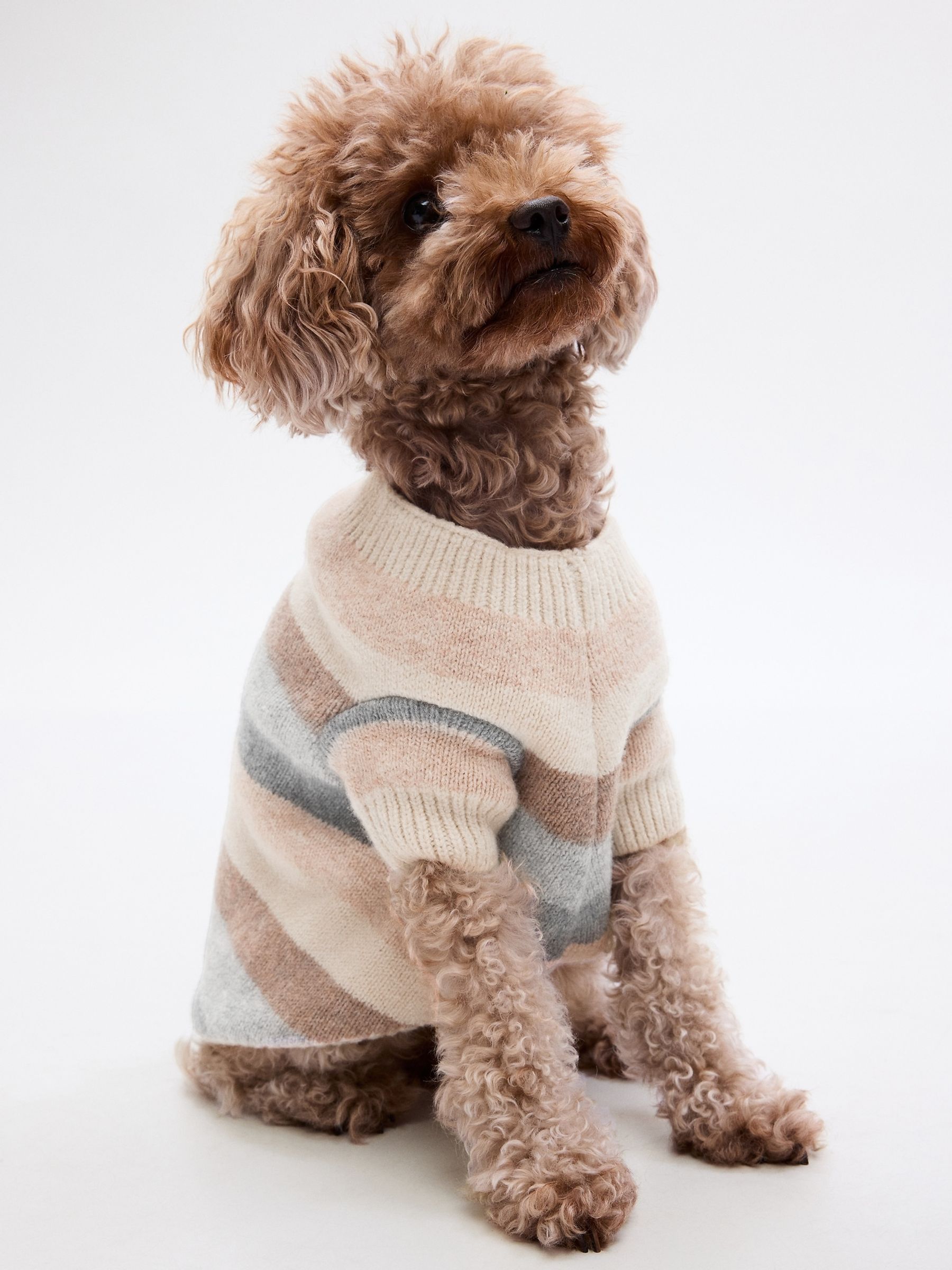 Cream Knit CashSoft Pet Jumper - Image 1 of 4