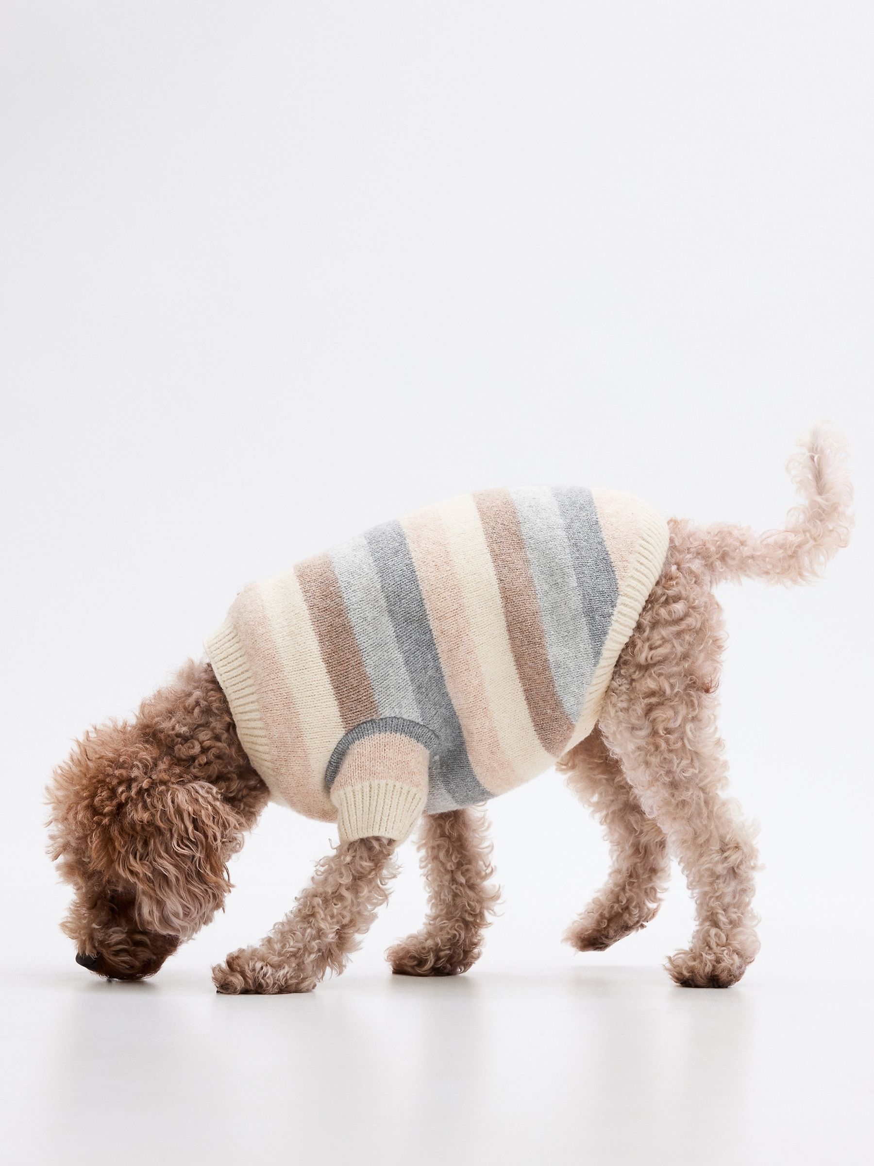 Cream Knit CashSoft Pet Jumper - Image 3 of 4