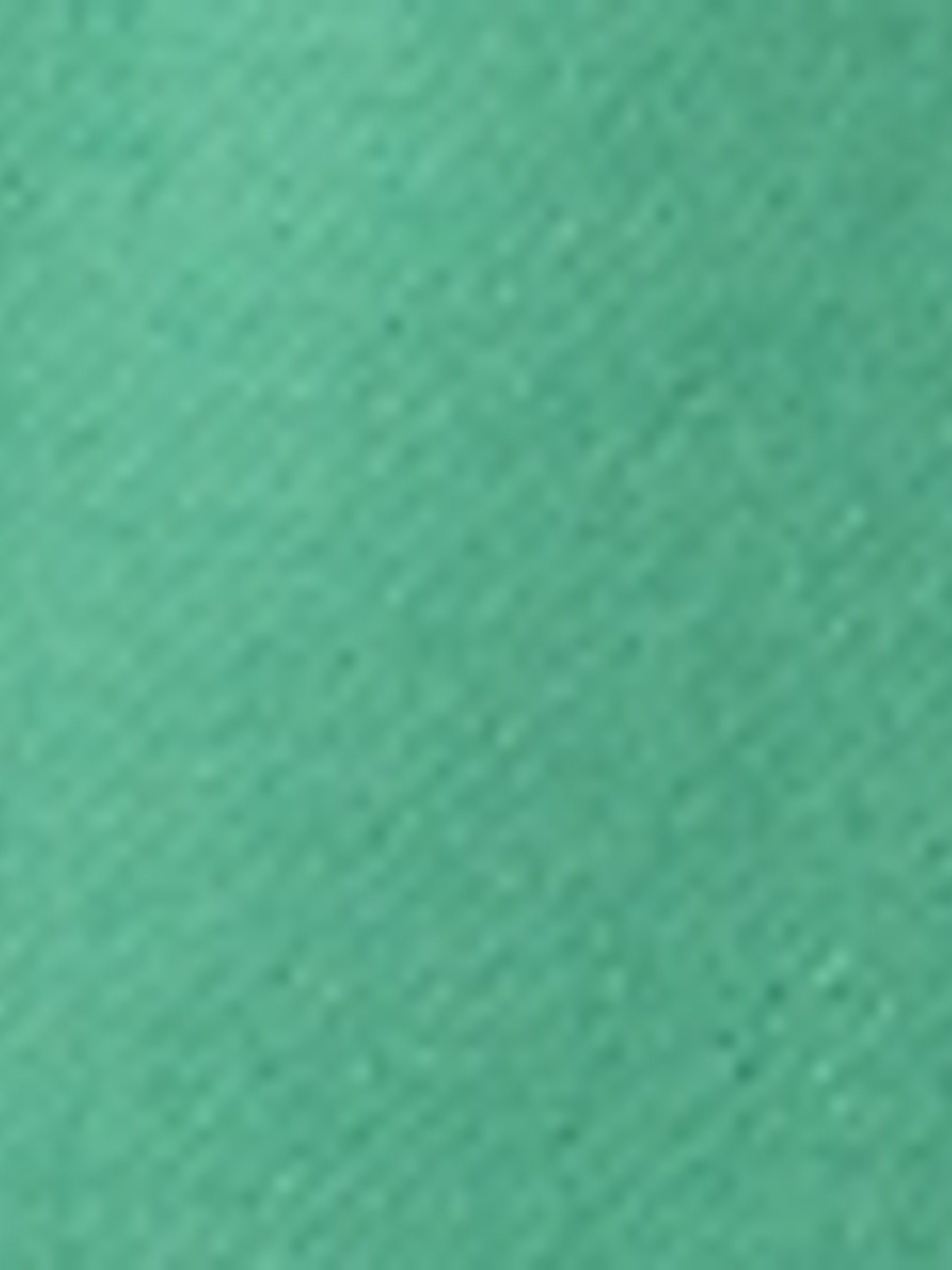 Green Pull On Logo Jogger Shorts (4-13yrs) - Image 2 of 2