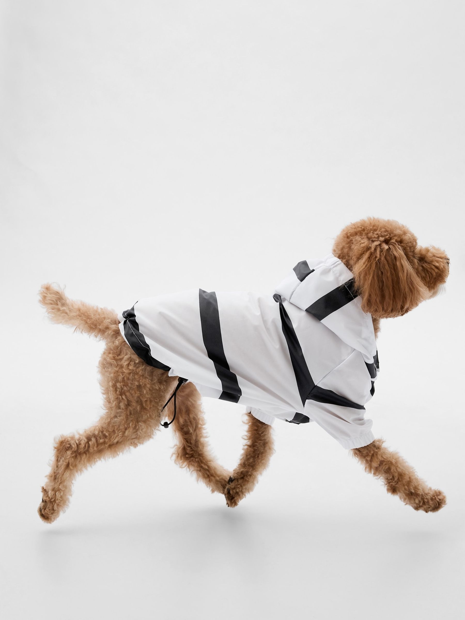 Blue Pet Rain Jacket - Image 3 of 5