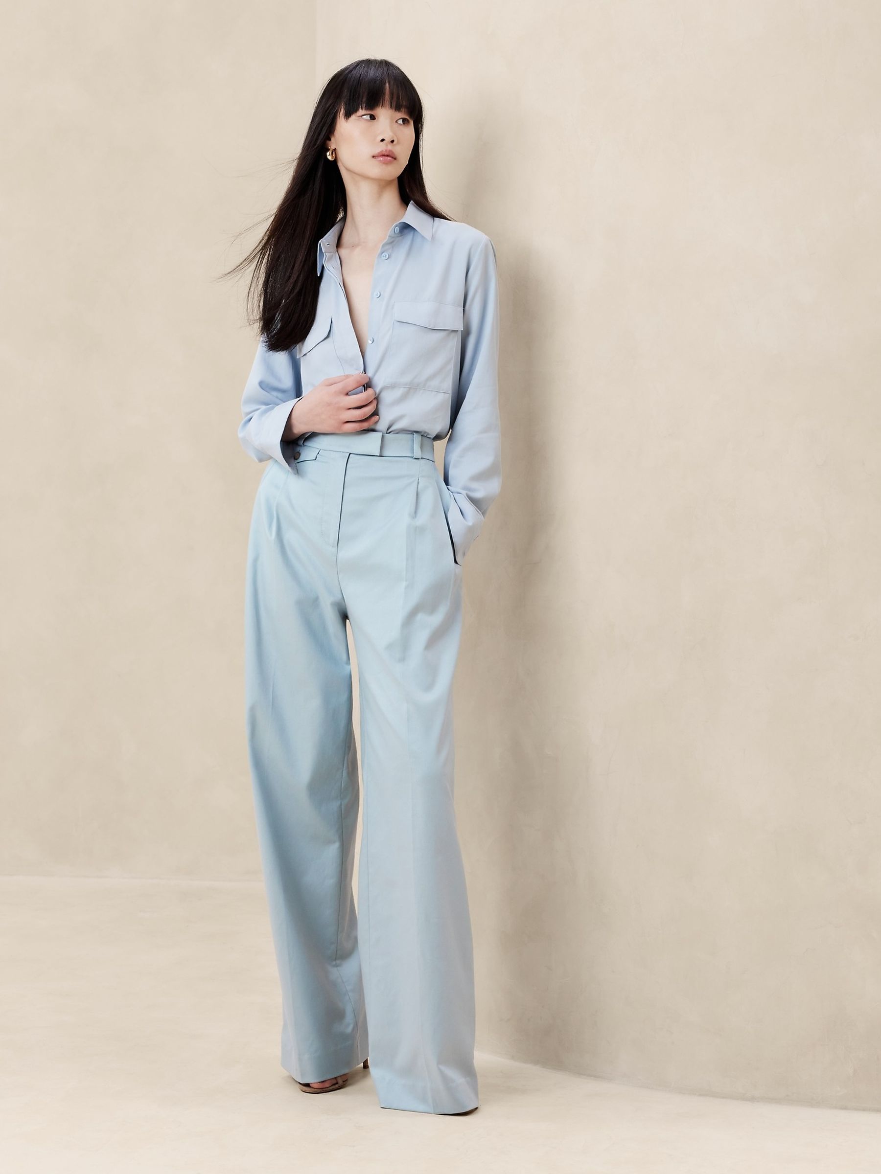 Banana Republic Blue Carmel Pleated Wide-Leg Trousers - Image 1 of 4