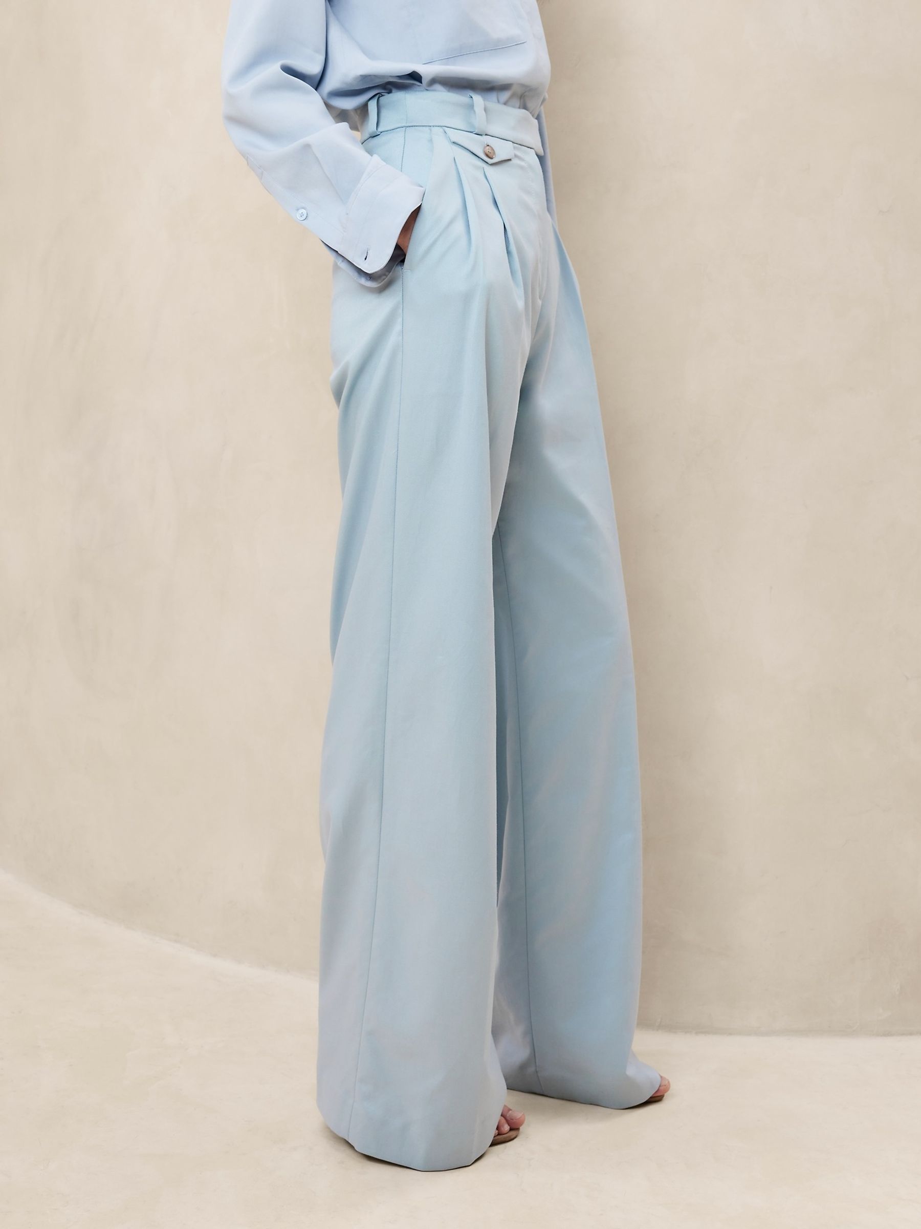 Banana Republic Blue Carmel Pleated Wide-Leg Trousers - Image 3 of 4