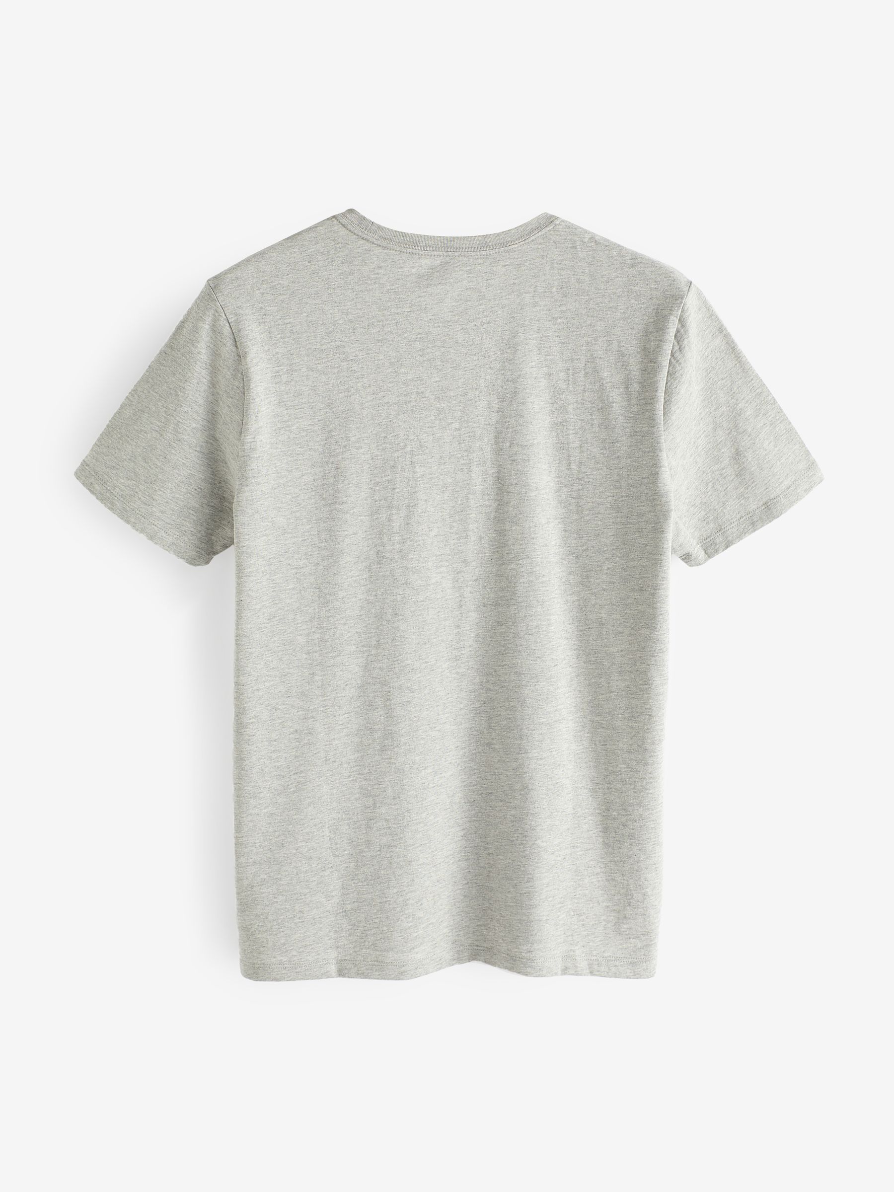 Stone Grey Everyday 100% Cotton Crew Neck T-Shirt - Image 5 of 7