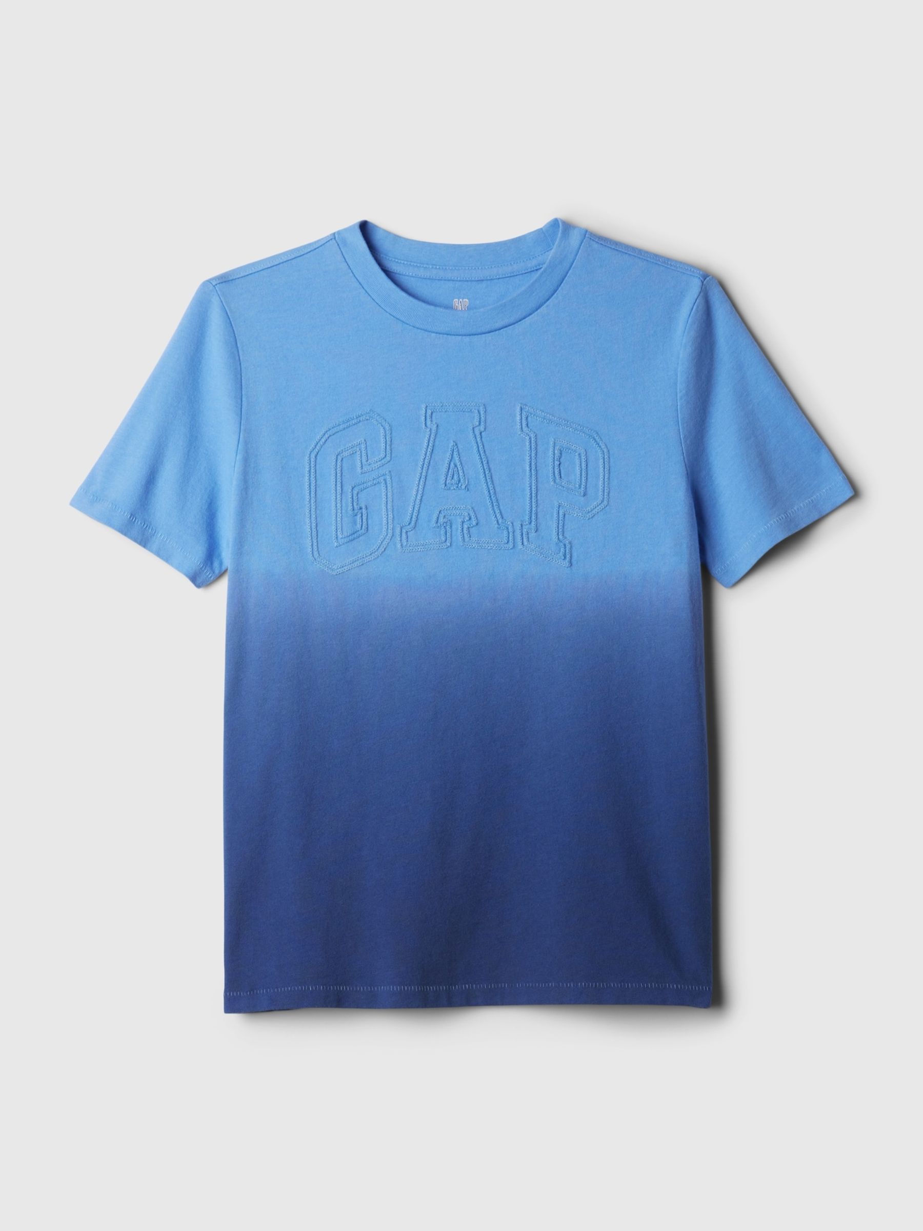 Blue Logo Dip Dye Crew Neck Short Sleeve T-Shirt (4-13yrs) - Image 1 of 2