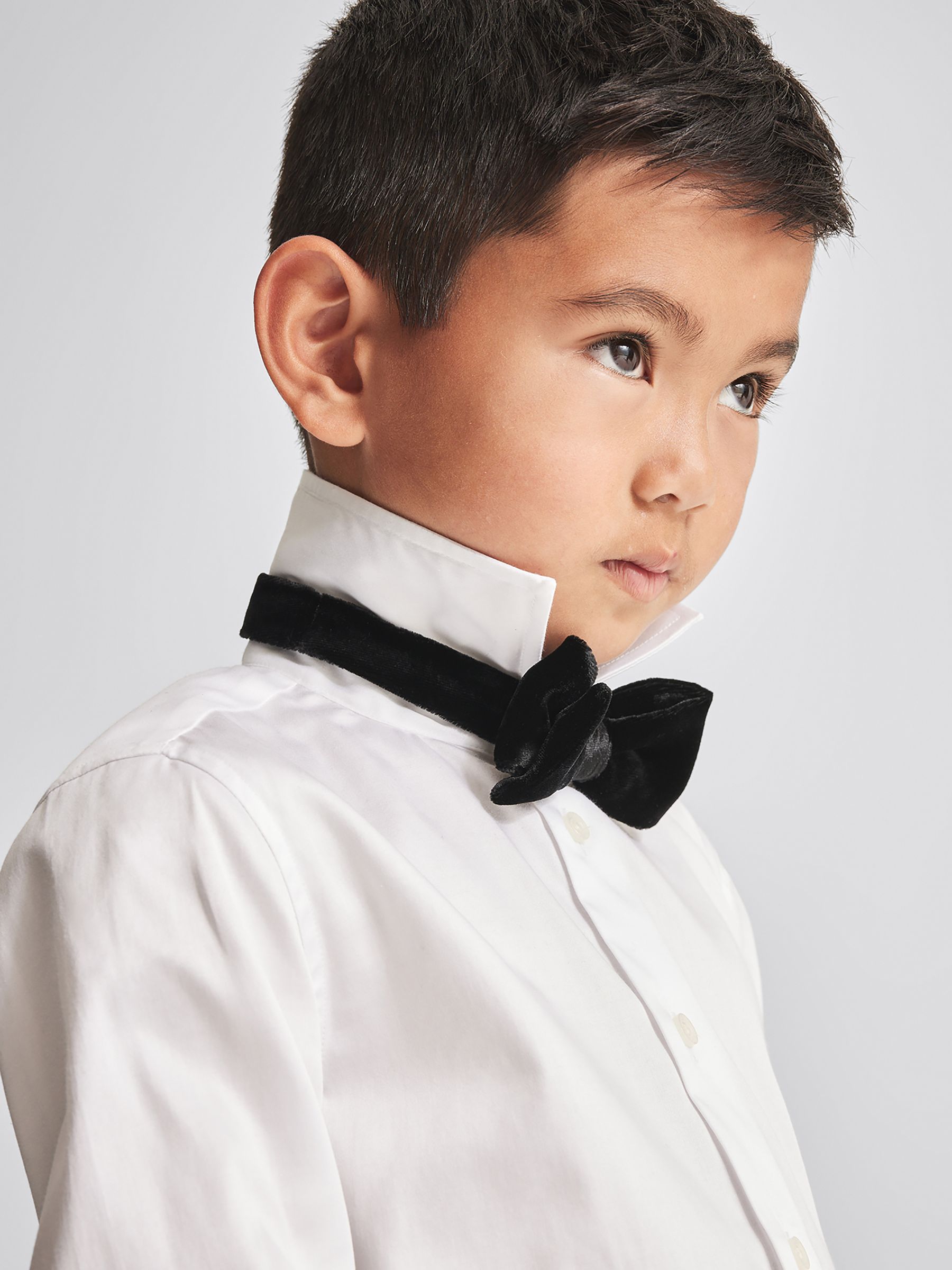 Velvet Bow Tie in Black - Image 1 of 5 Velvet Bow Tie in Black - Image 1 of 5