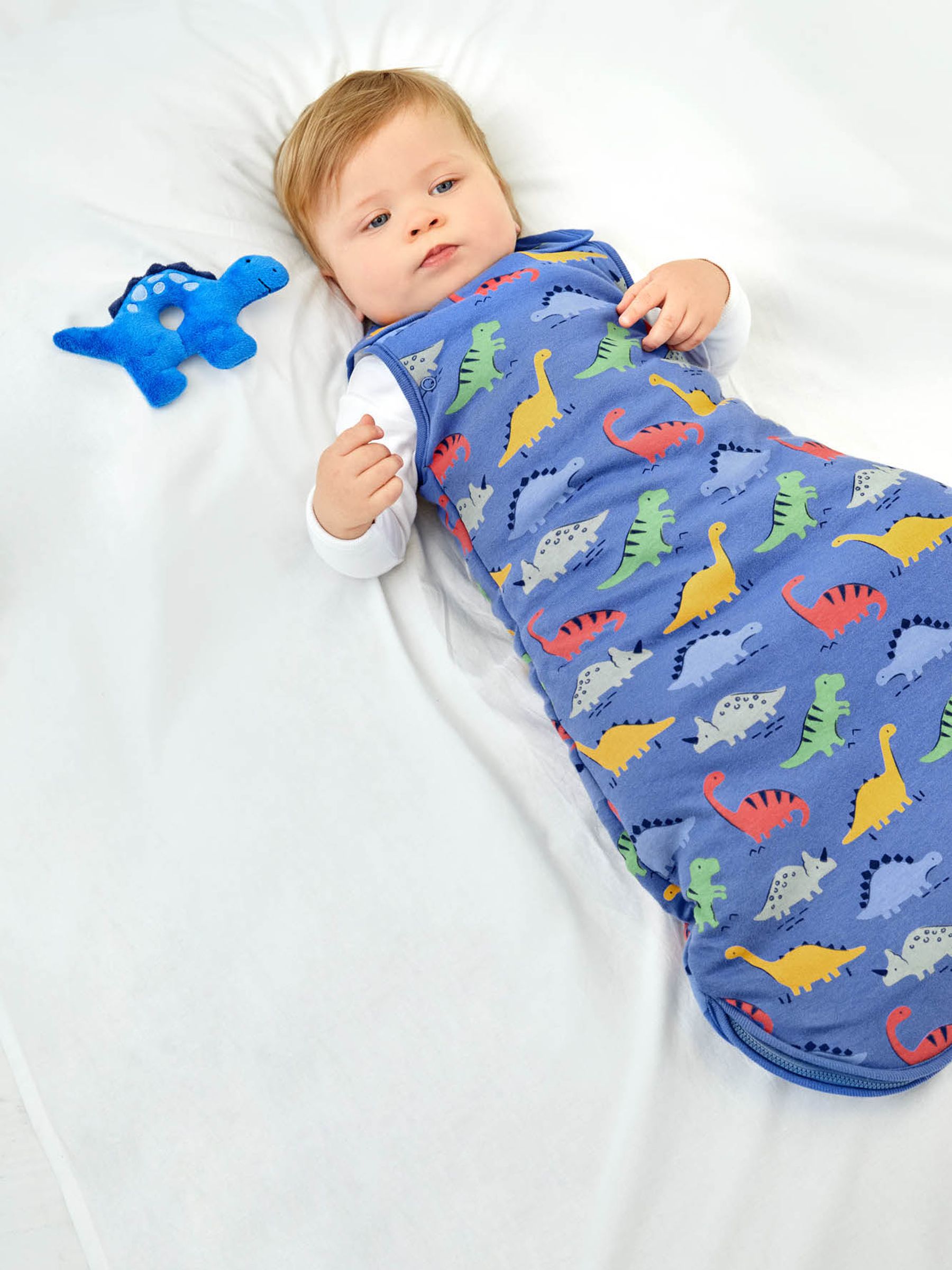 Blue Dino 2.5 Tog Sleeping Bag - Image 1 of 3