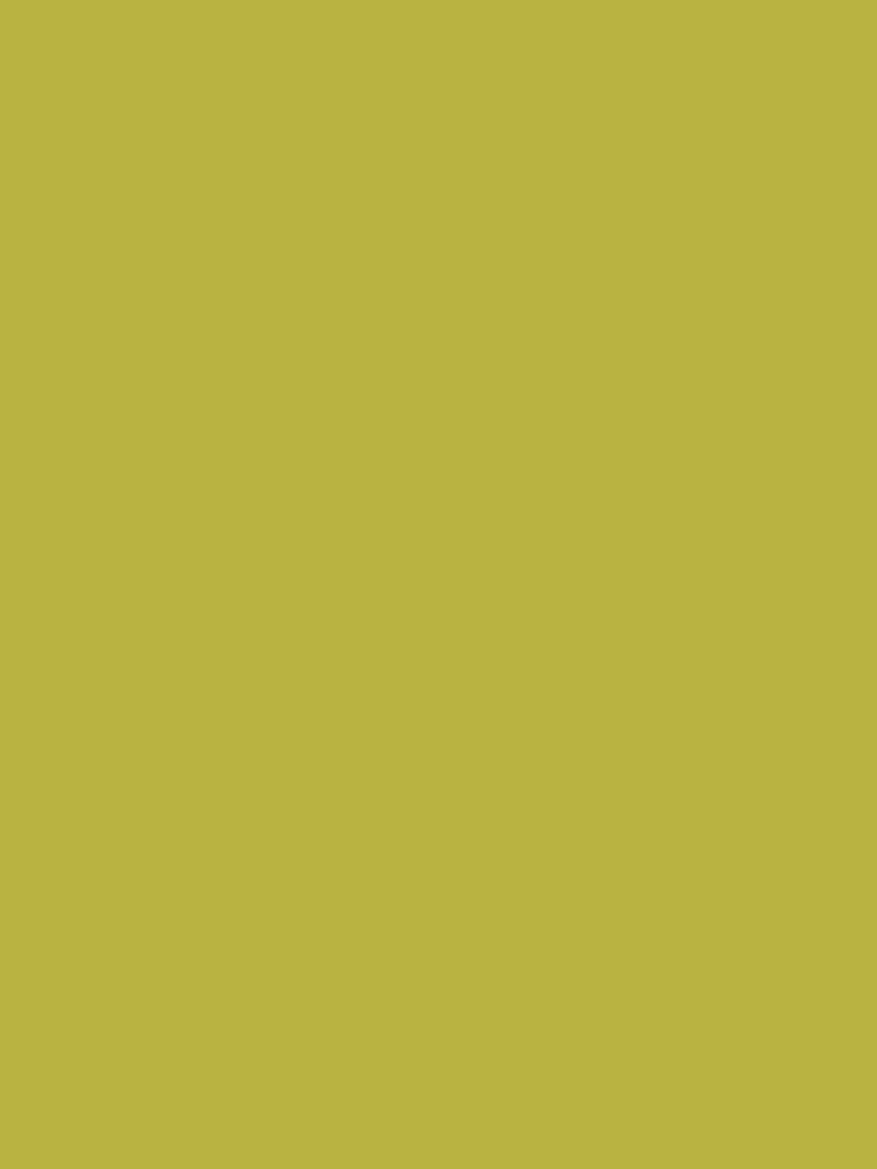 Beckett's Gold Multi Surface Matt Emulsion - Image 2 of 4