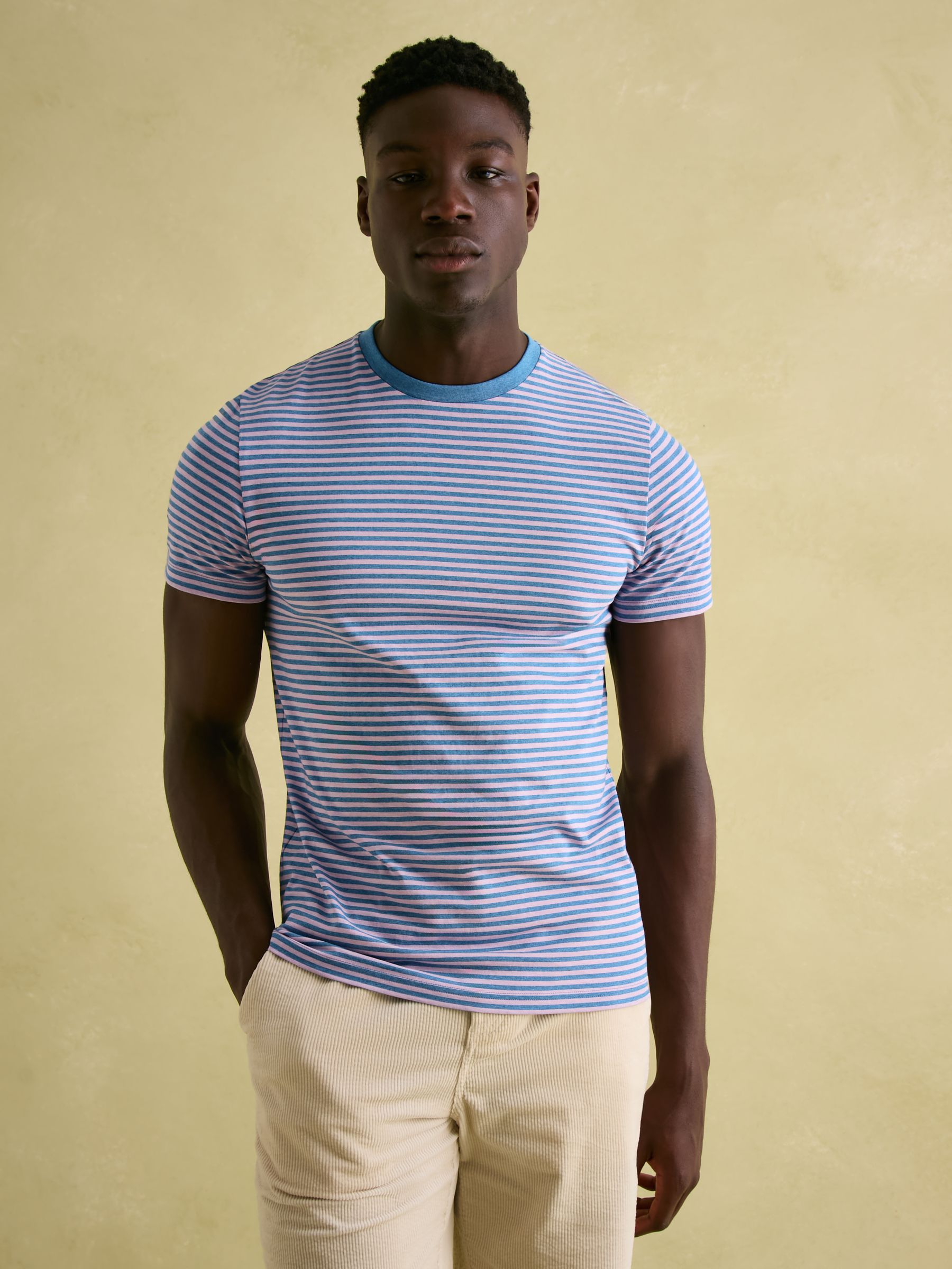 Boathouse Pink Stripe Jersey Crew Neck T-Shirt - Image 1 of 7