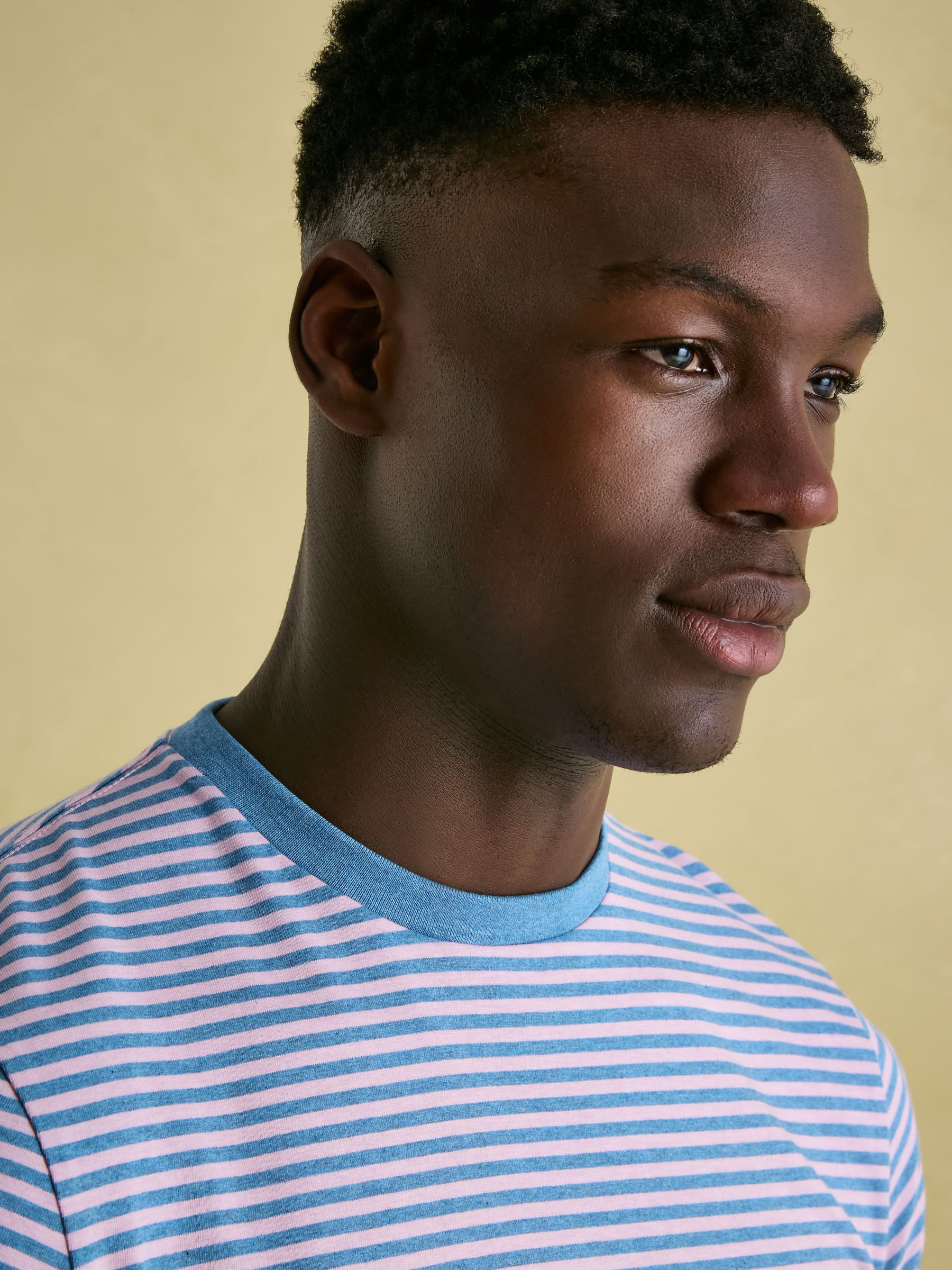 Boathouse Pink Stripe Jersey Crew Neck T-Shirt - Image 5 of 7