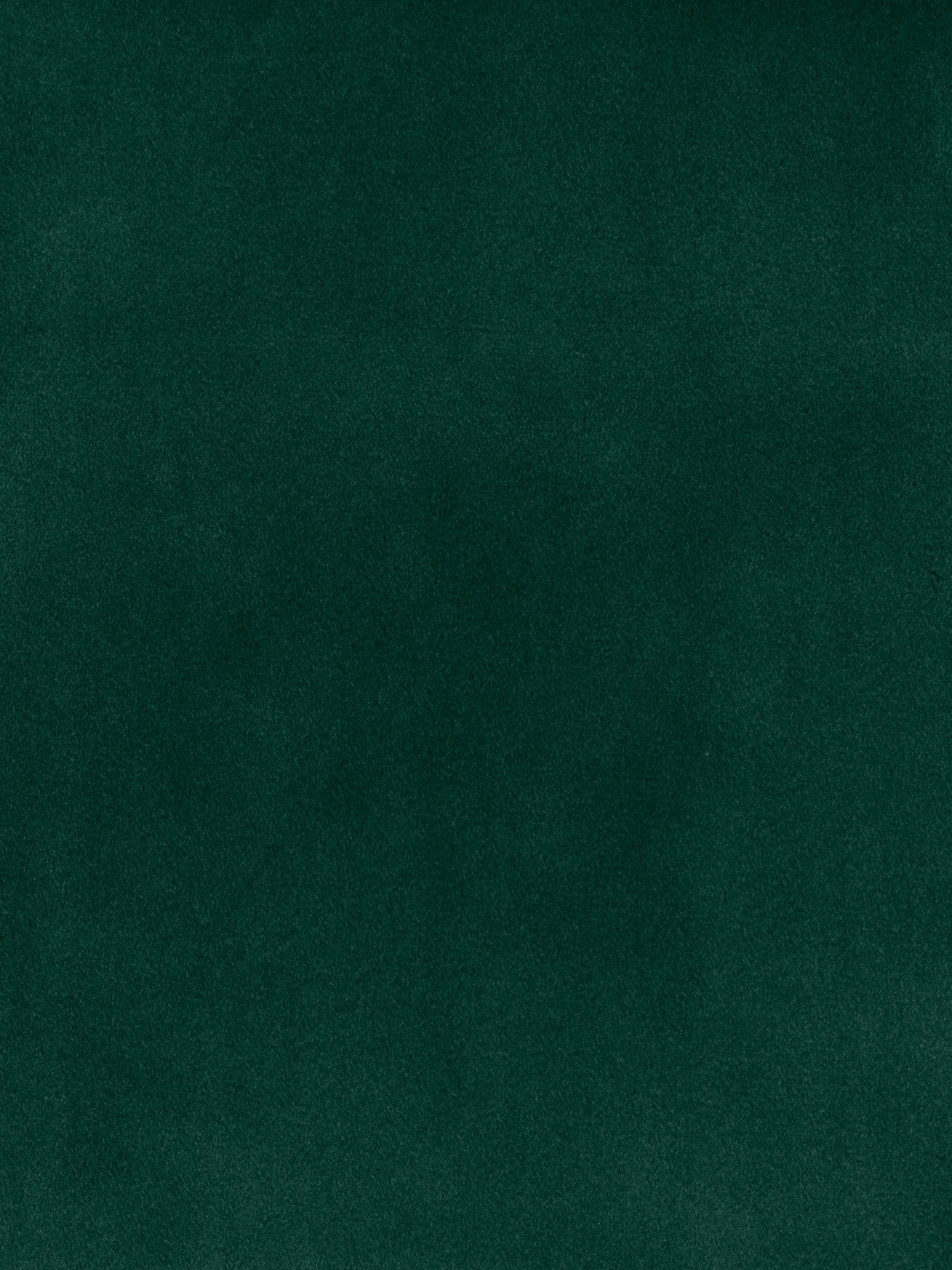Modern Velvet Swatch in Bottle Green - Image 1 of 1