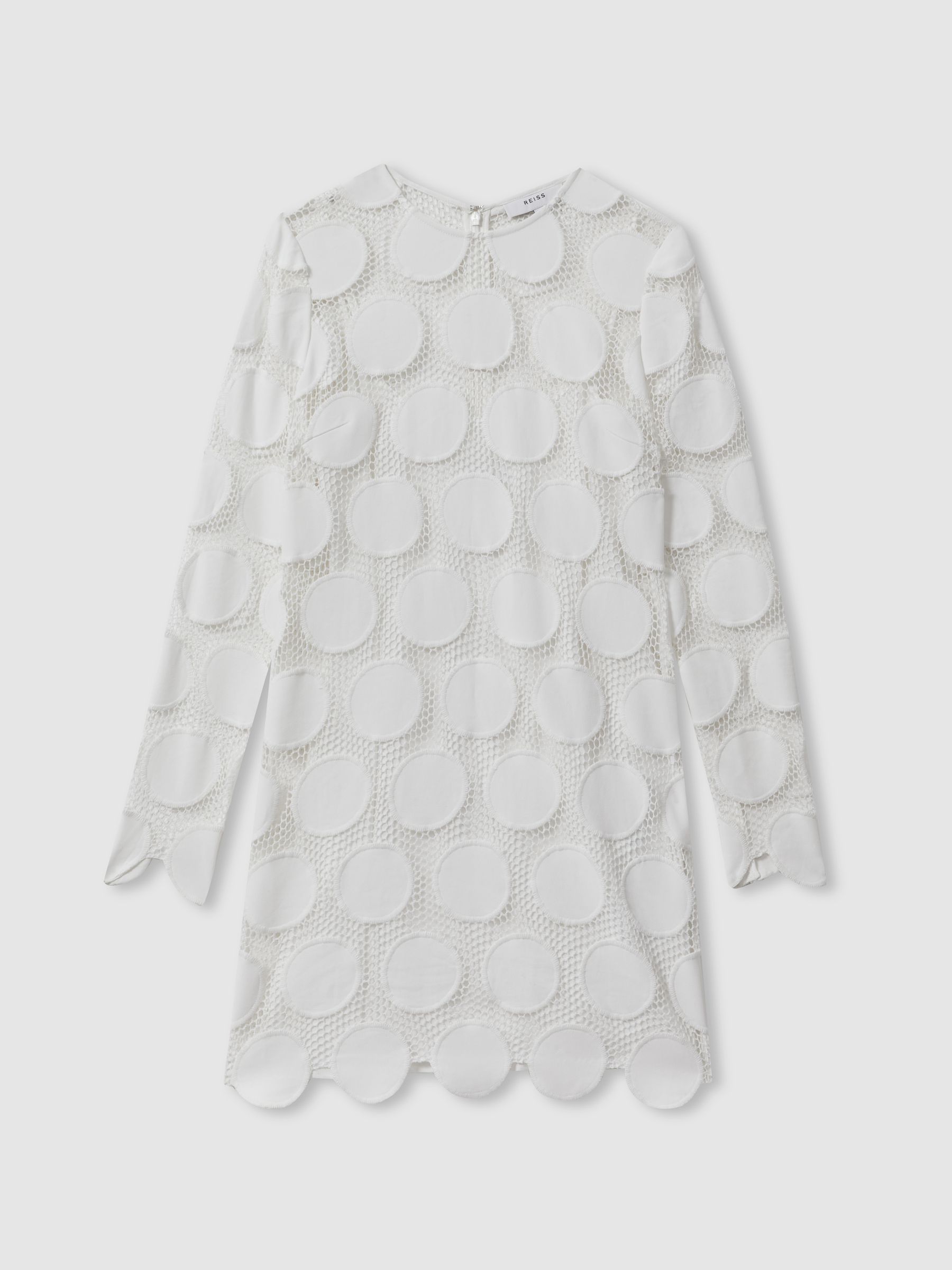 Atelier Sheer Embroidered Mini Dress in Ivory - Image 2 of 6