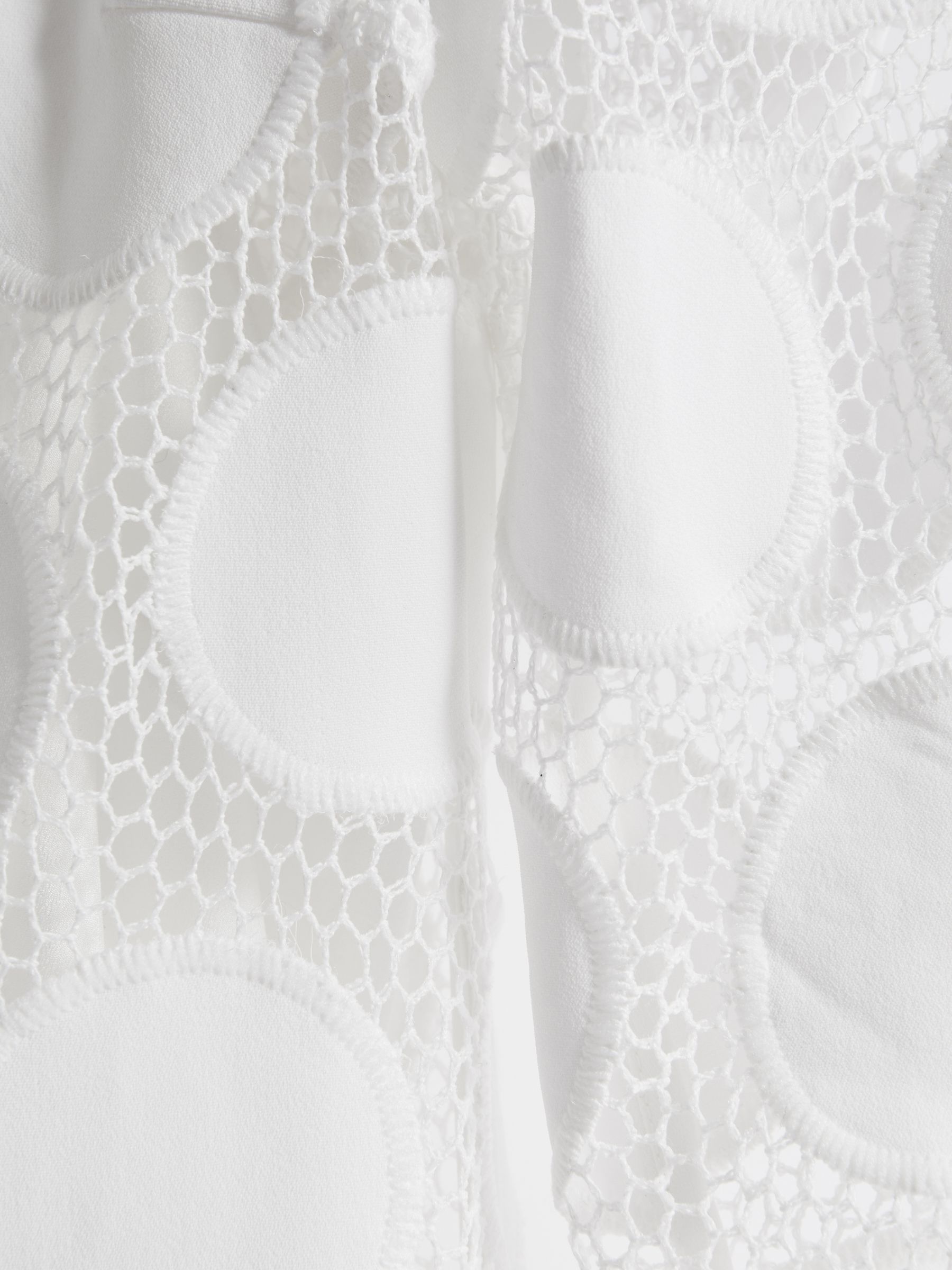 Atelier Sheer Embroidered Mini Dress in Ivory - Image 6 of 6