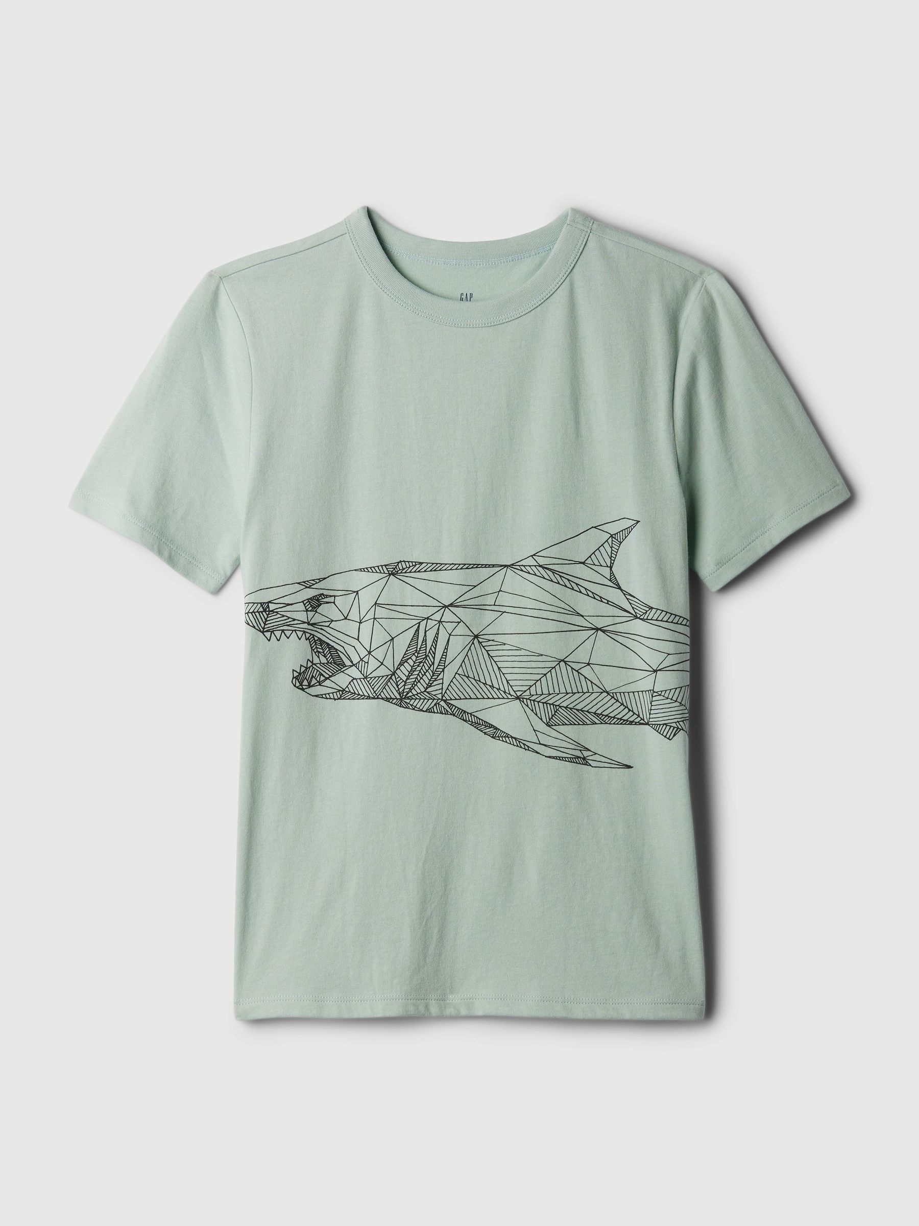 Grey Shark Graphic Short Sleeve Crew Neck T-Shirt (4-13yrs) - Image 1 of 1