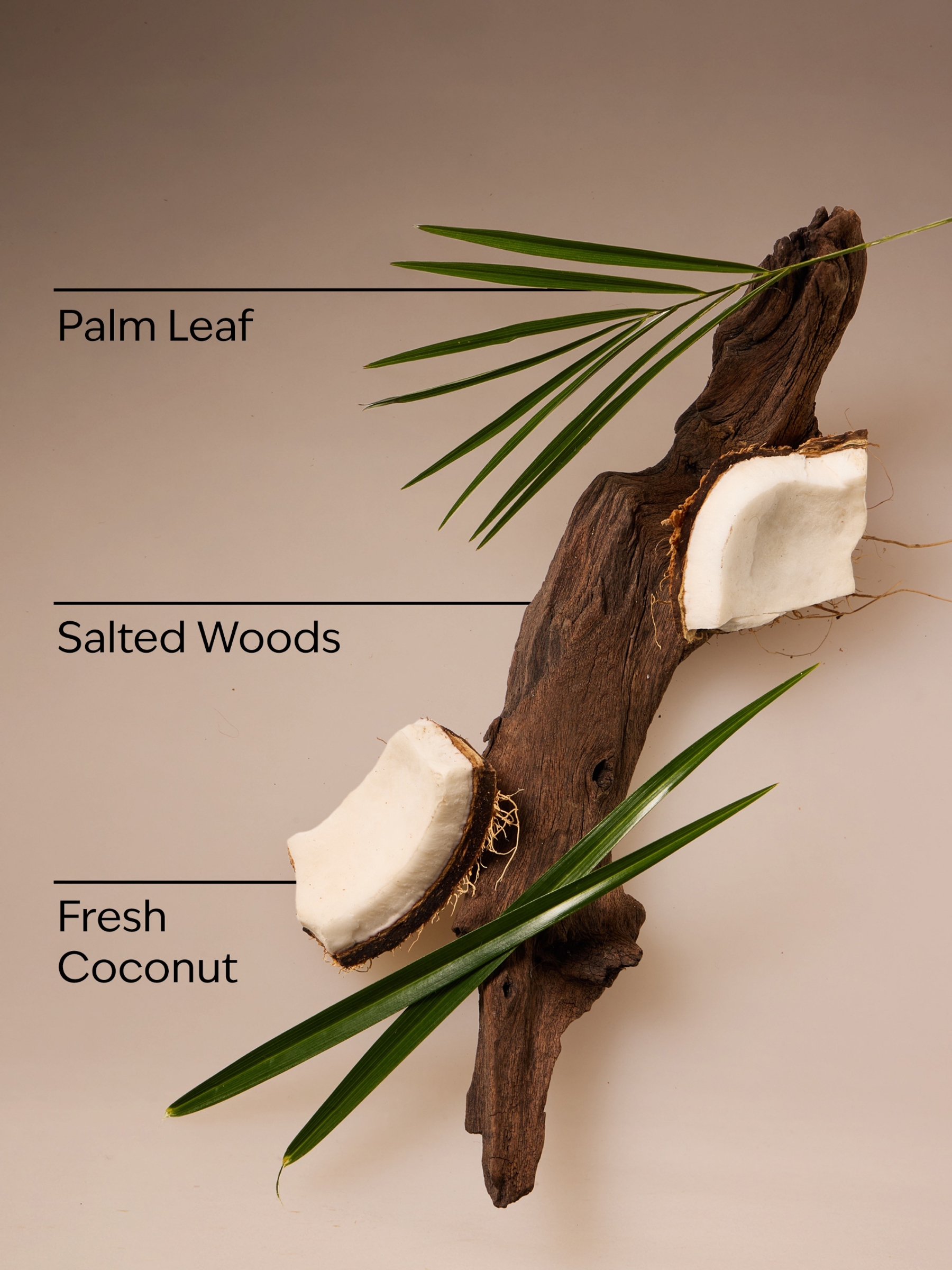 Coconut Nectar Travel Size Fine Fragrance Mist 75ml - Image 3 of 4