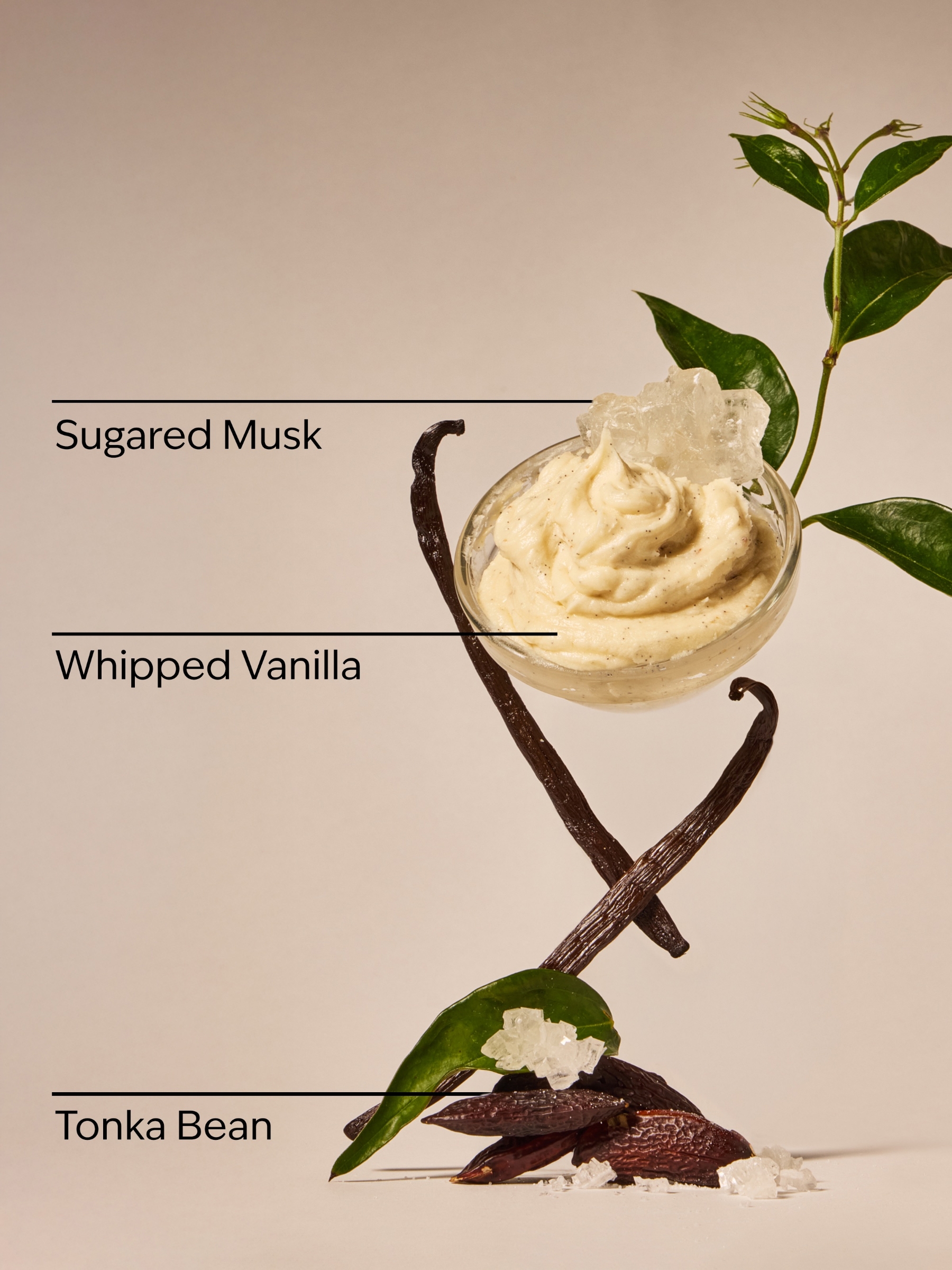 Wild Vanilla Travel Size Fine Fragrance Mist 75ml - Image 3 of 4