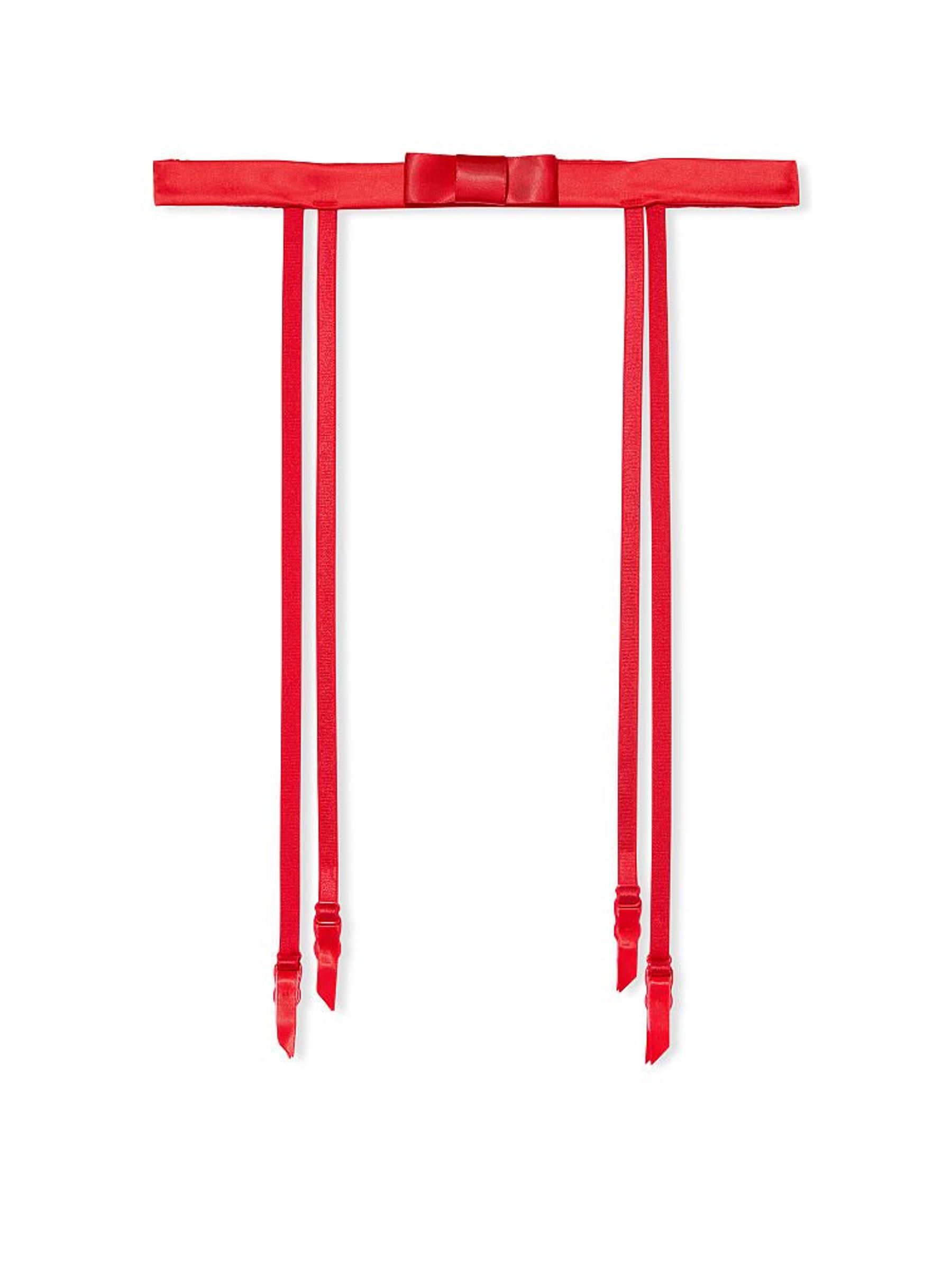 Lipstick Rosebud Dot Garter Belt - Image 4 of 4