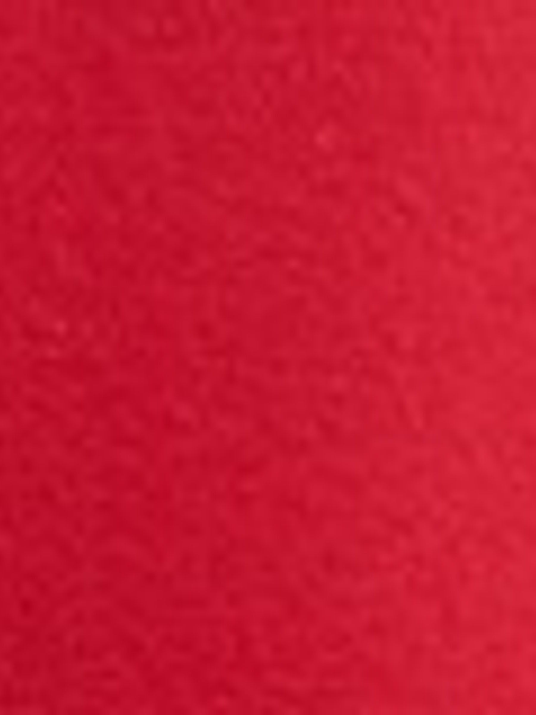 Red Logo Pullover Hoodie - Image 3 of 3