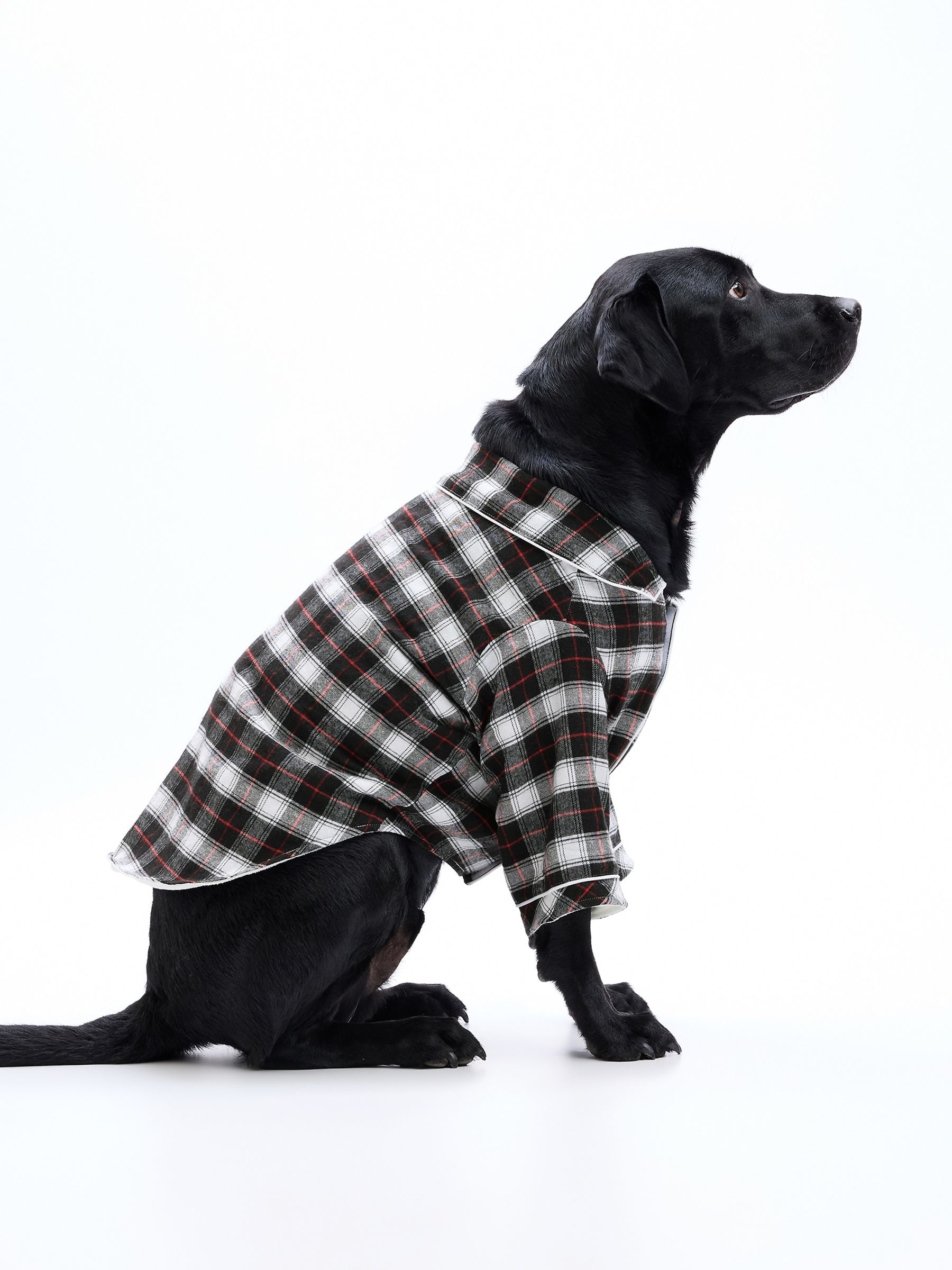 Black & White Check Pet Pyjamas - Image 2 of 4