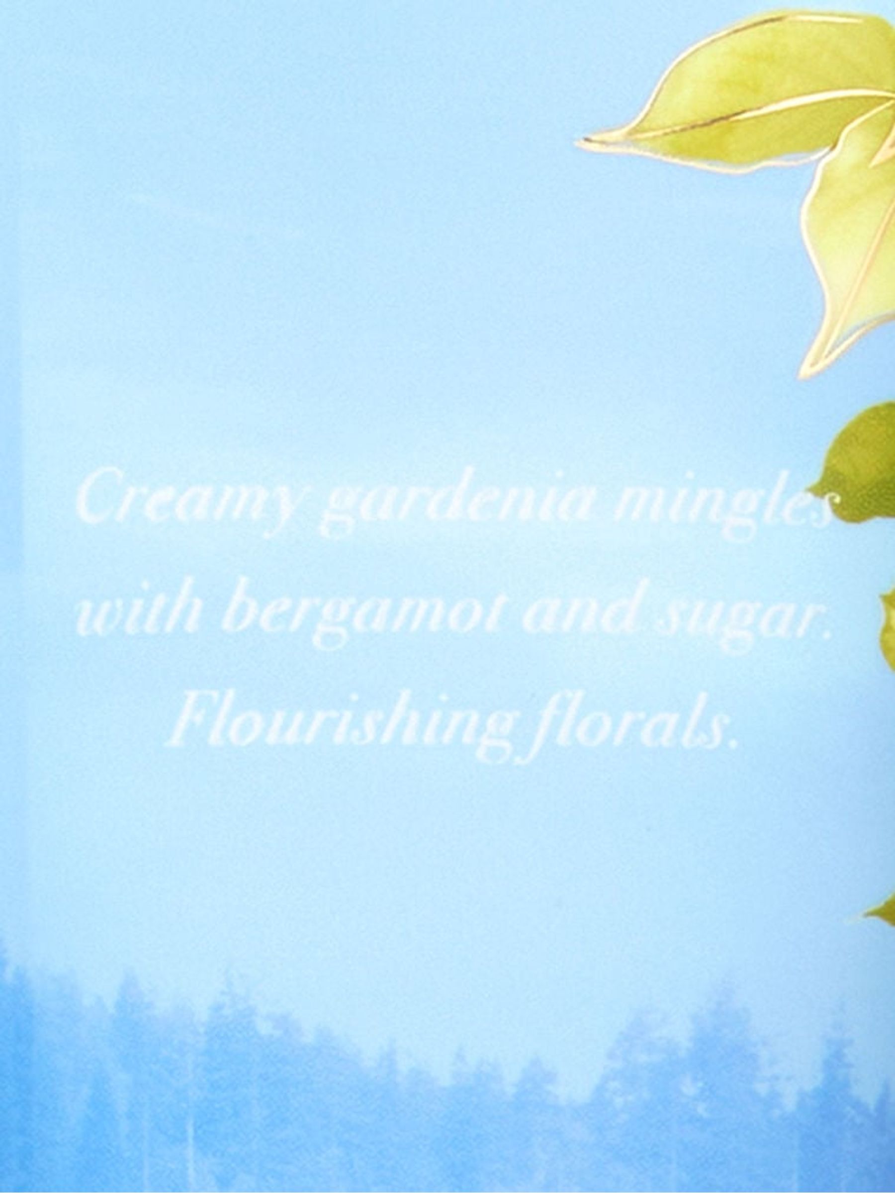 Garden Daydream Body Lotion - Image 2 of 3