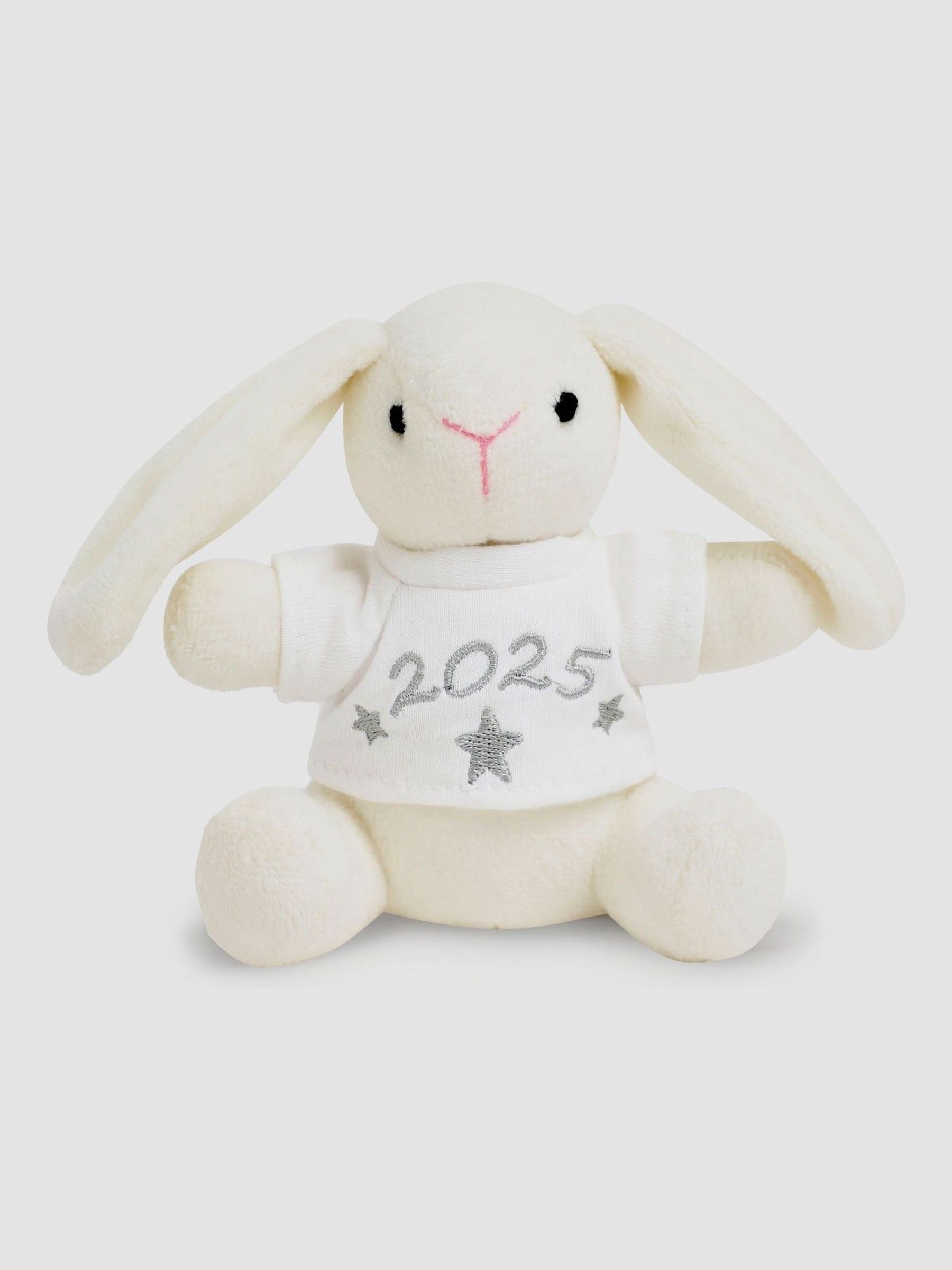 Born in 2025 Bunny - Image 1 of 2