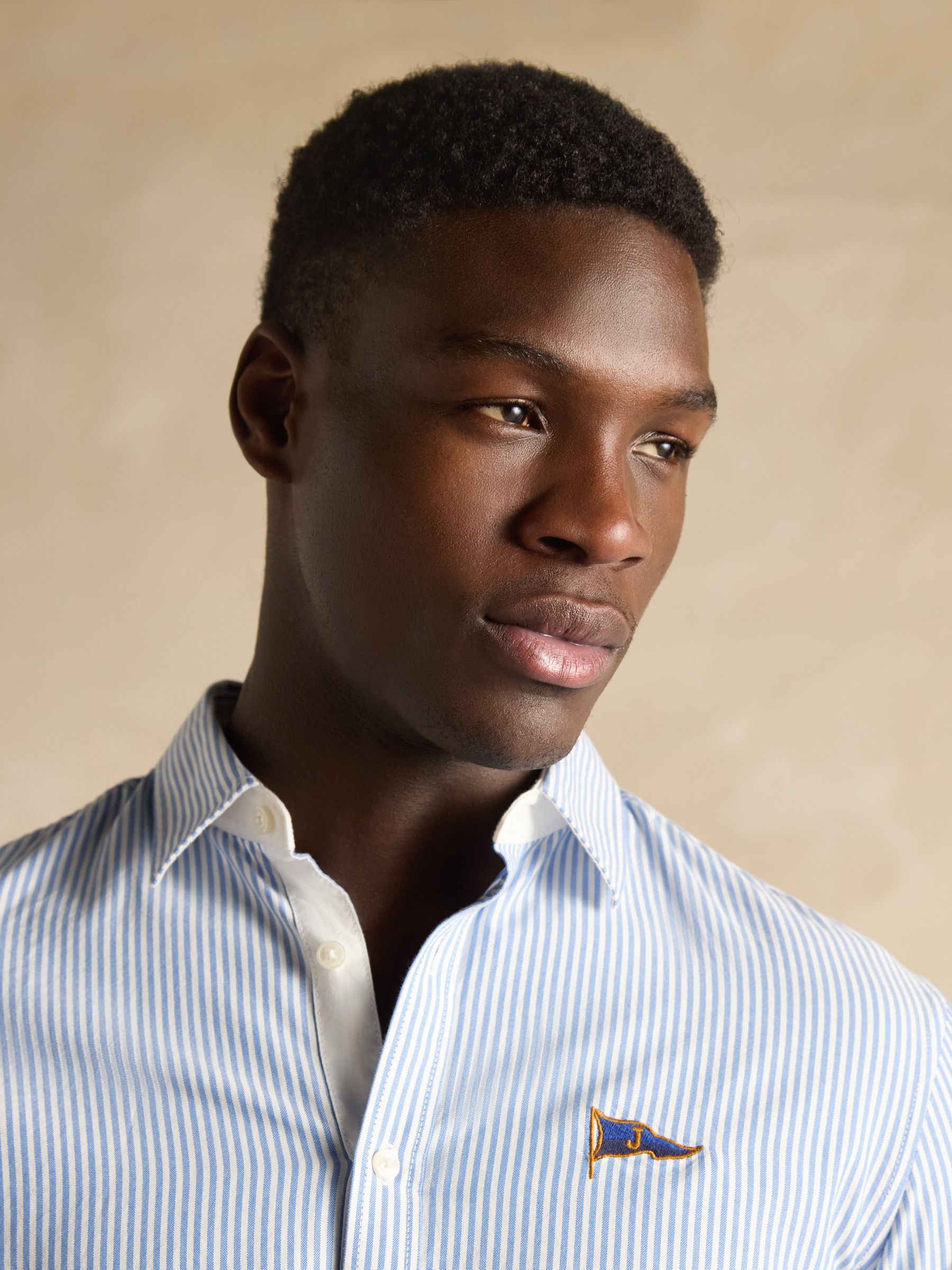 Oxford Embellished Blue Stripe Long Sleeve Classic Fit Cotton Shirt - Image 12 of 12