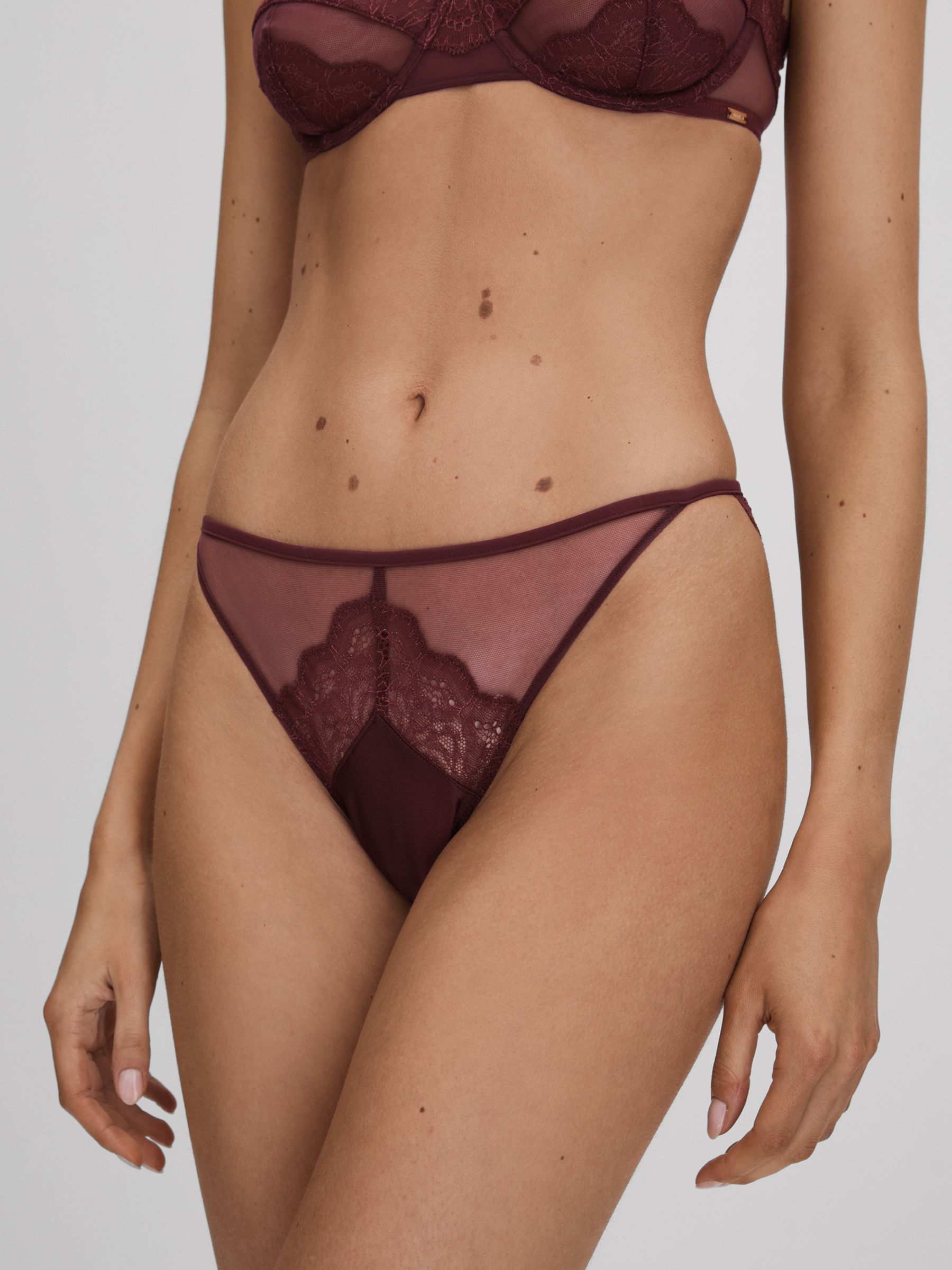 Underwear Mesh Lace Briefs in Tawny Port - Image 3 of 5